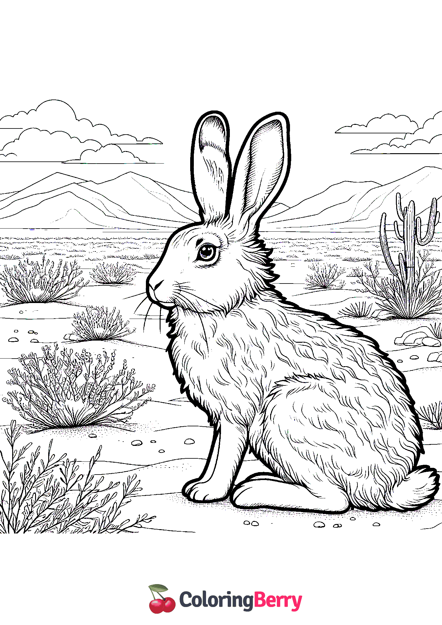 Desert Hare