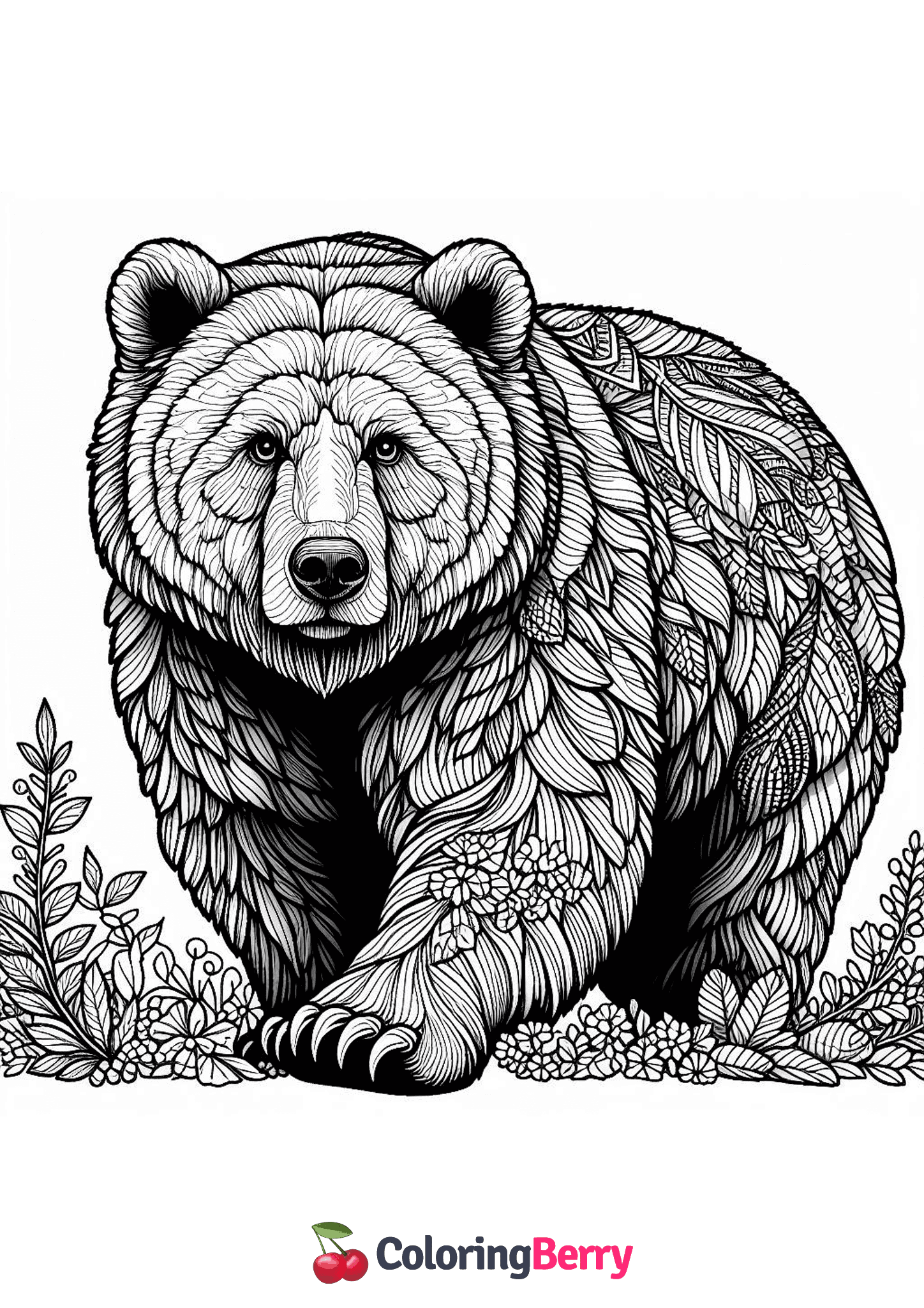 Detailed Bear