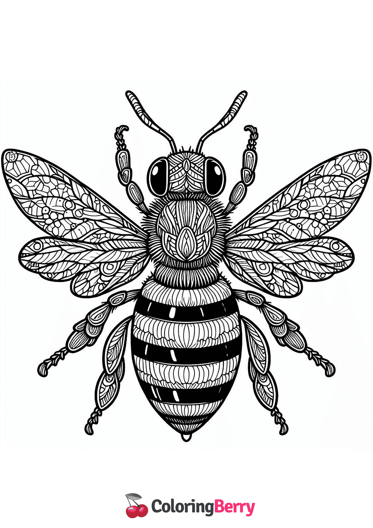 Detailed Bee
