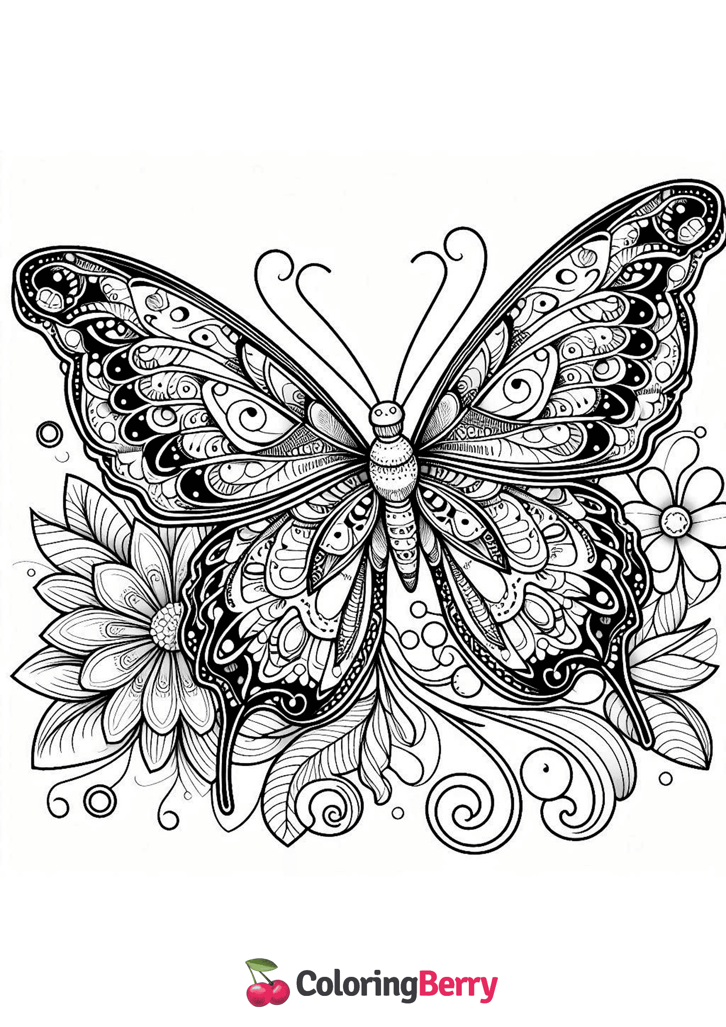 Detailed Butterfly
