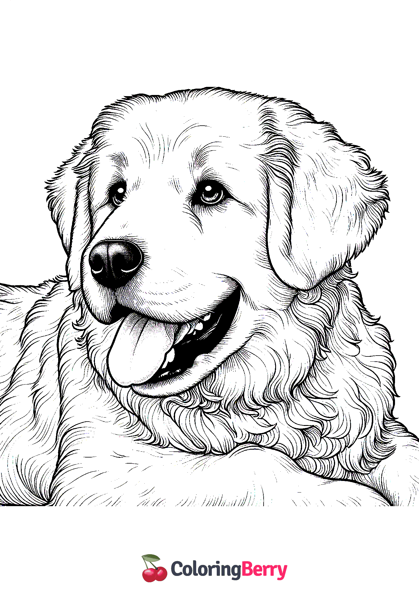 Detailed Dog