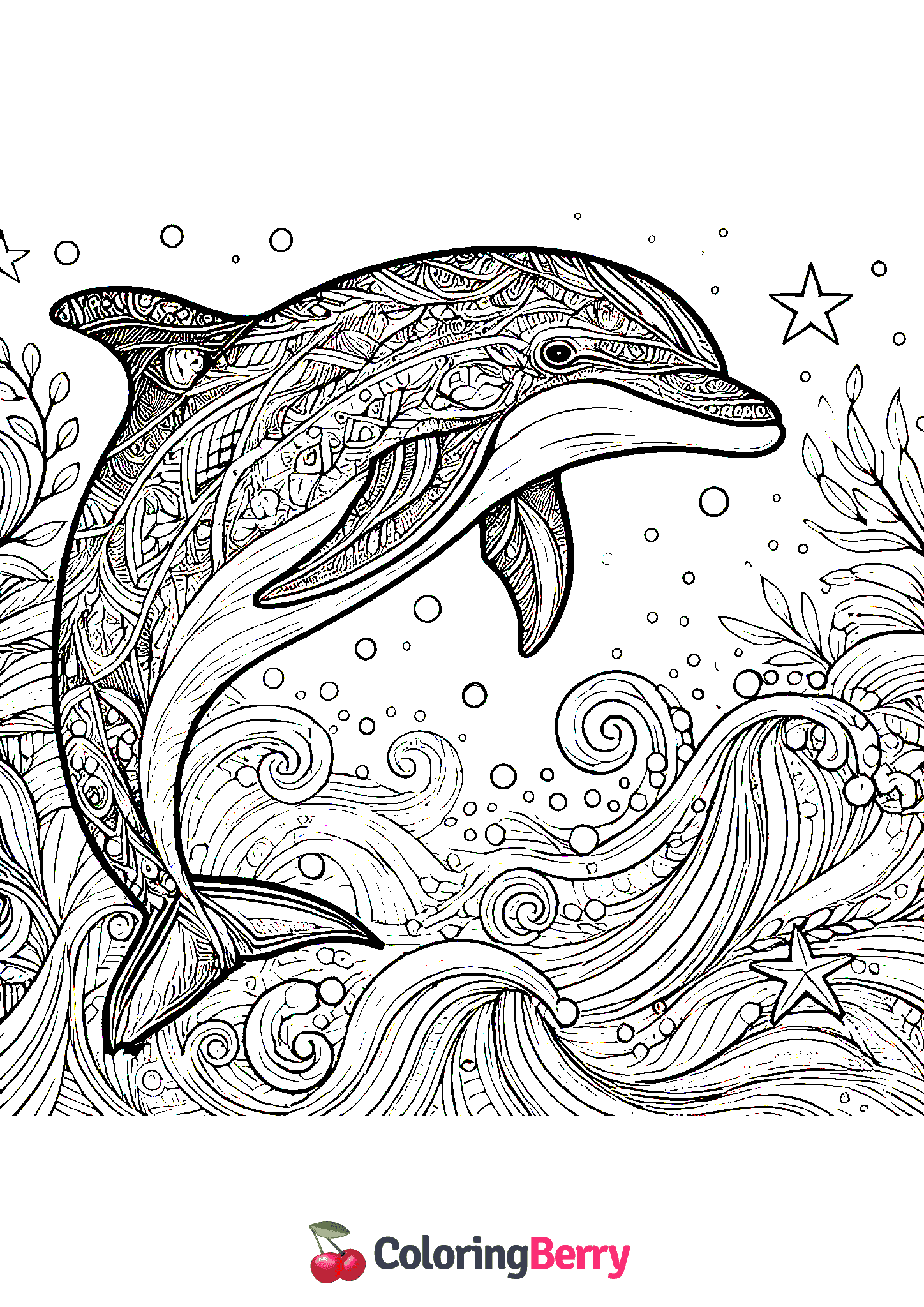 Detailed Dolphin