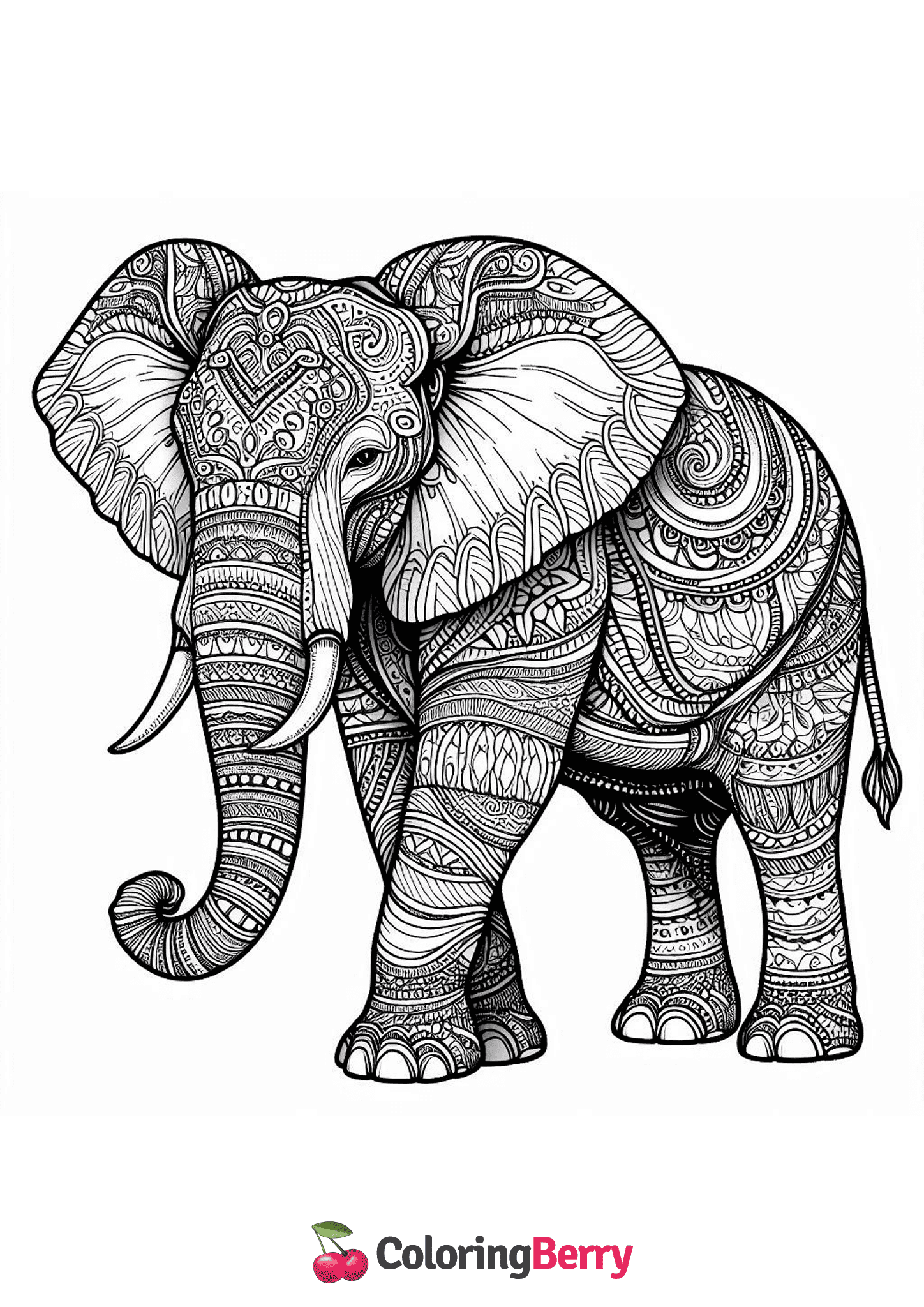 Detailed Elephant