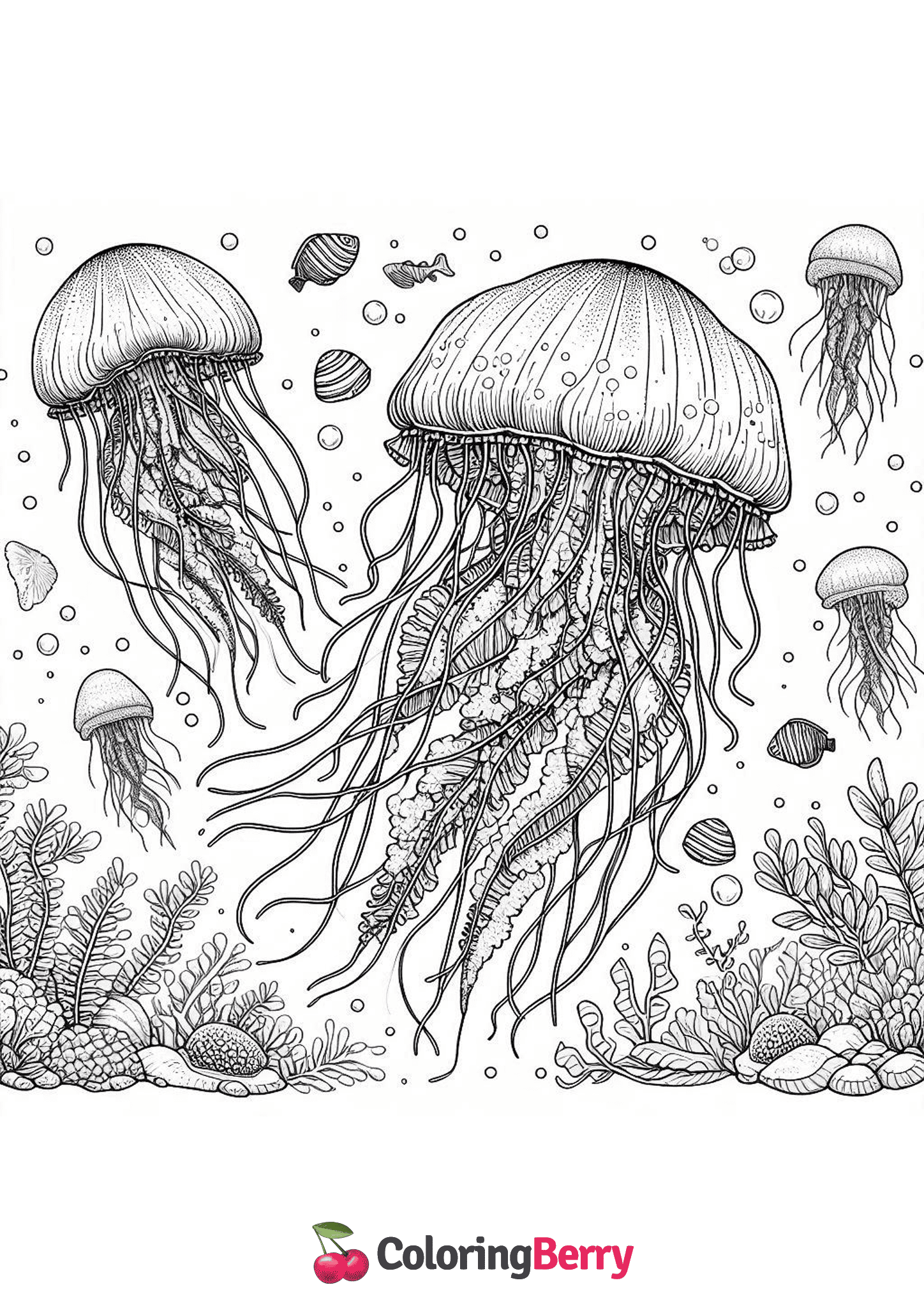 Detailed Jellyfish
