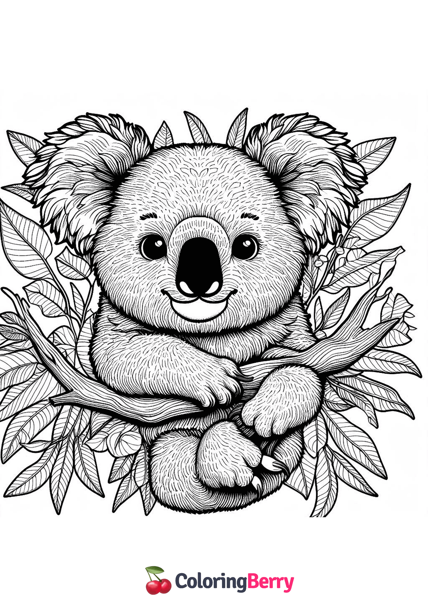 Detailed Koala