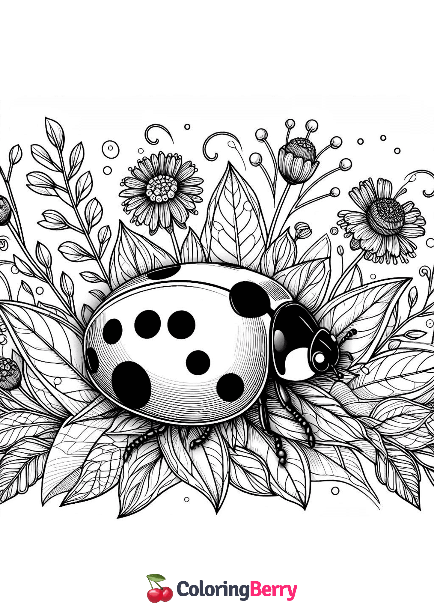 Detailed Ladybug