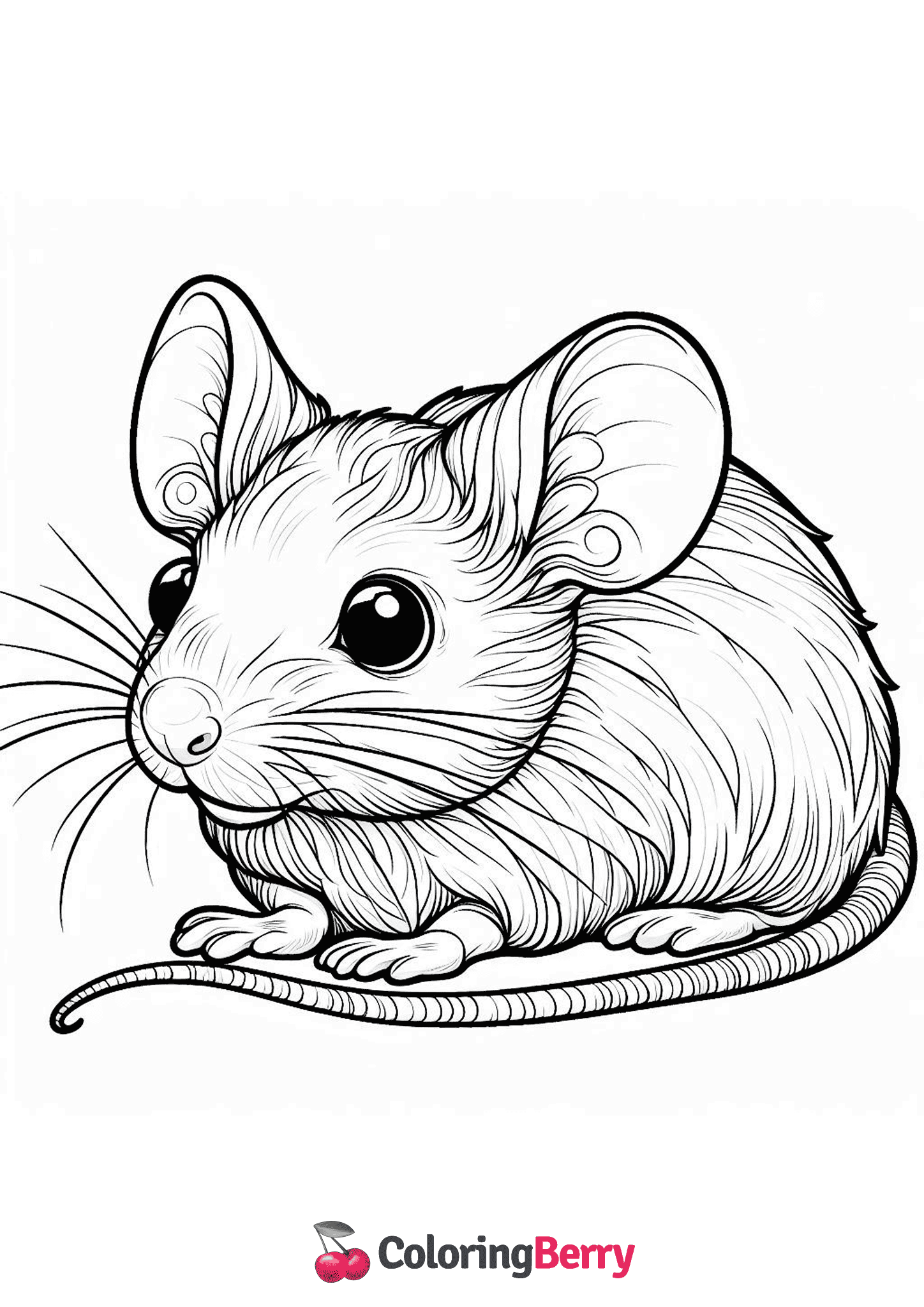 Detailed Mouse
