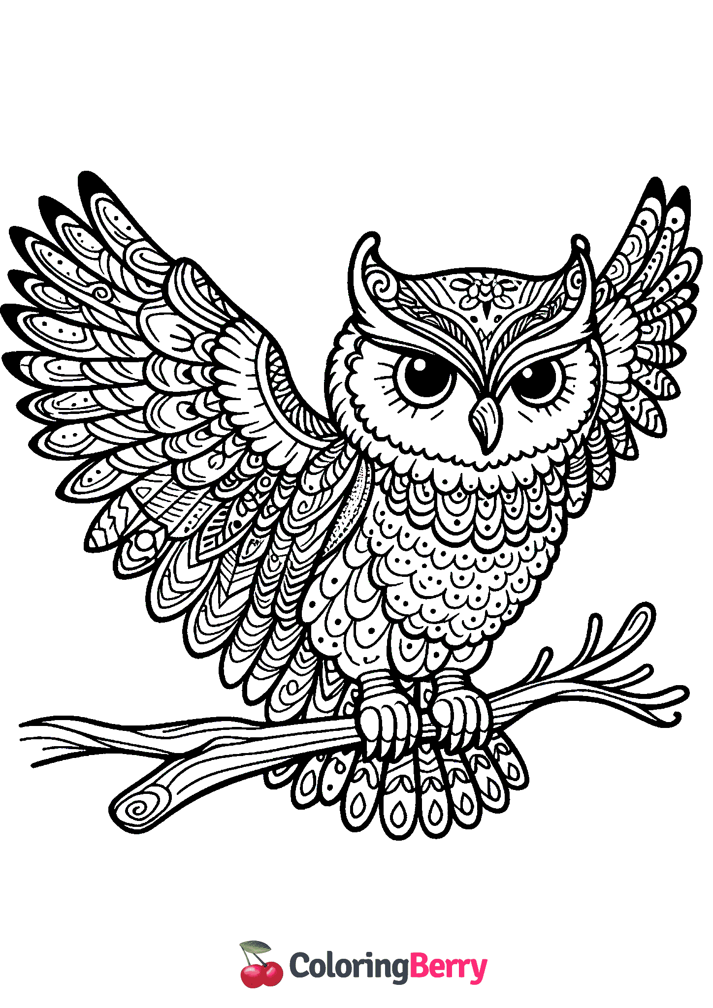 Detailed Owl