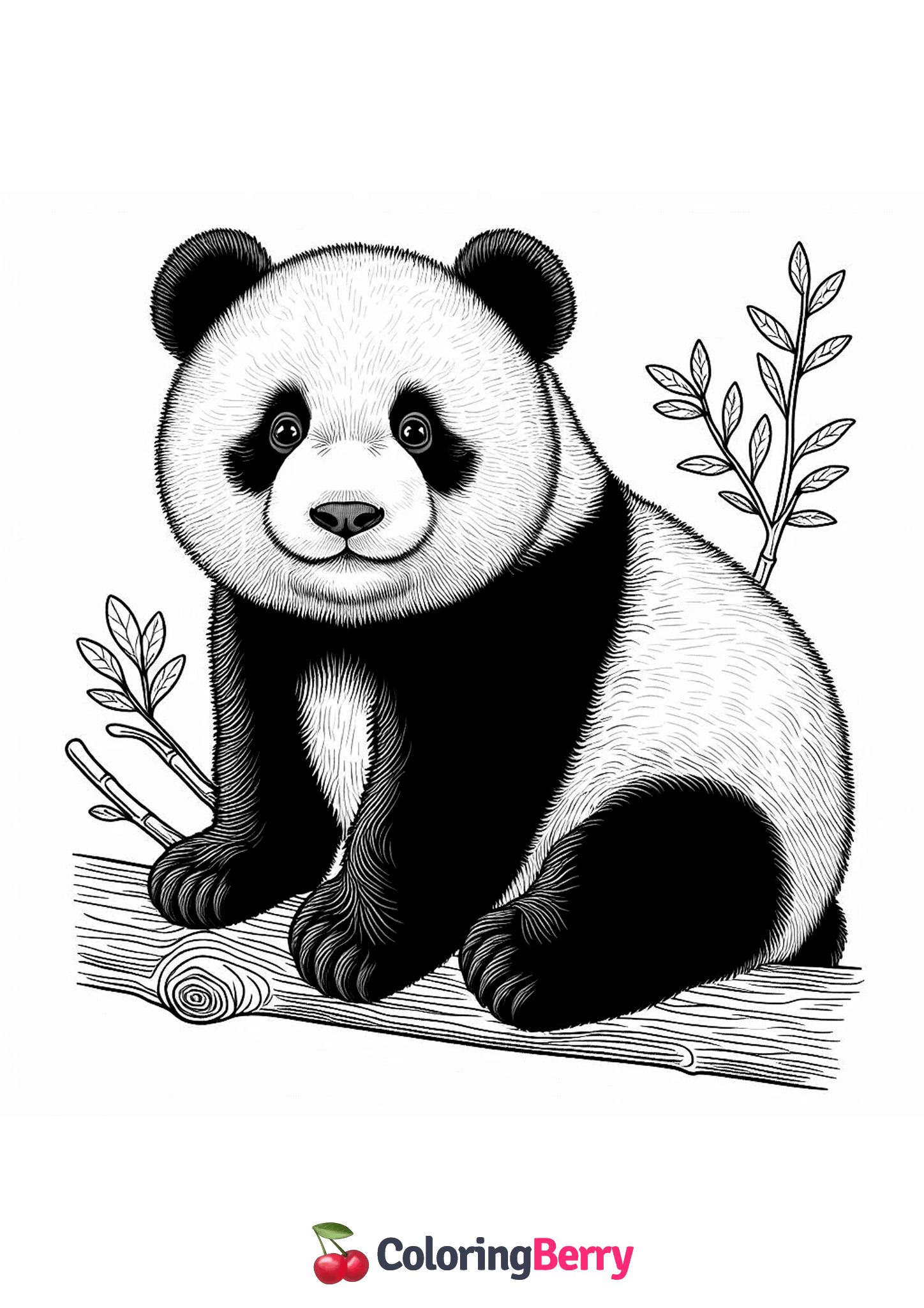 Detailed Panda