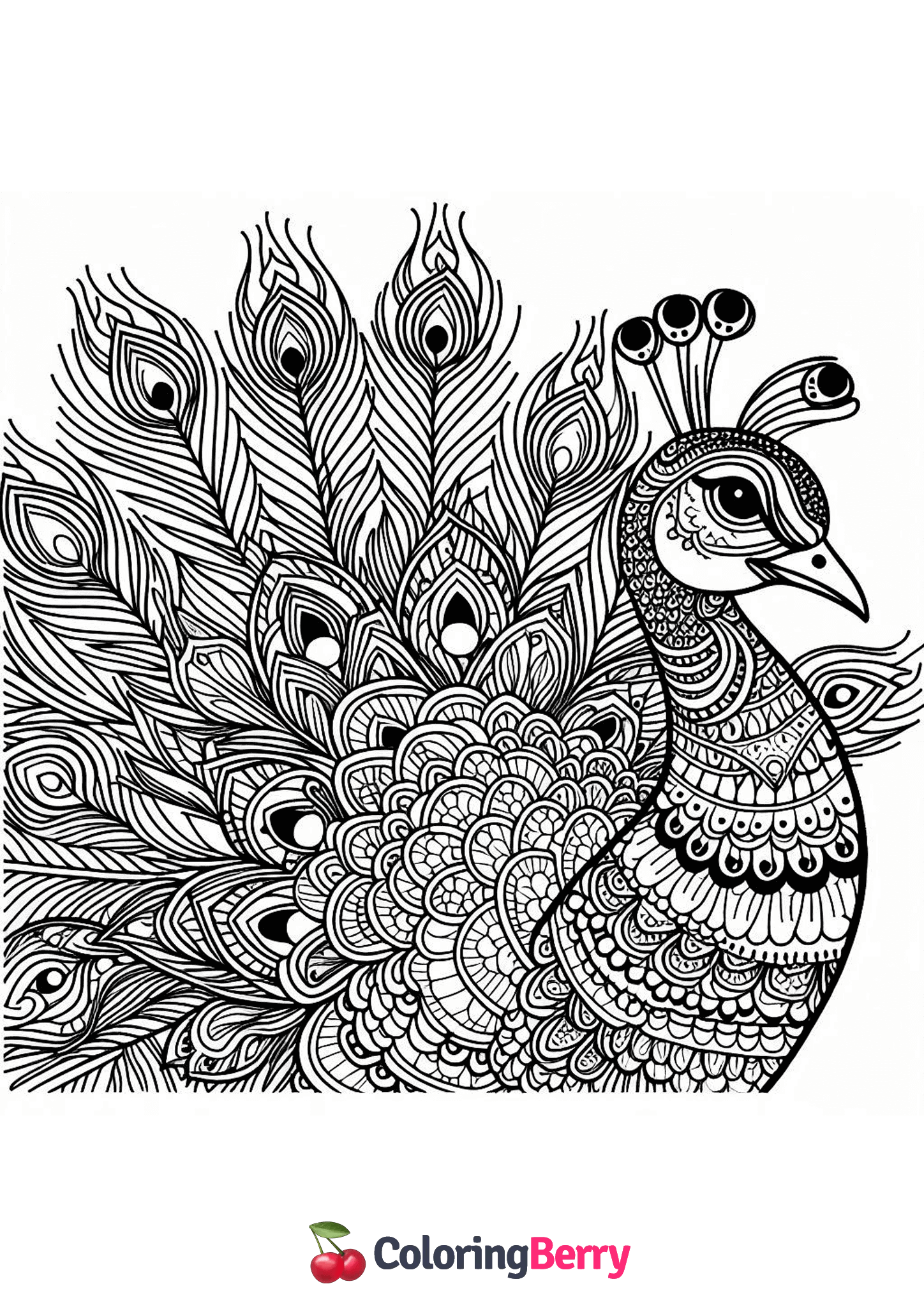 Detailed Peacock