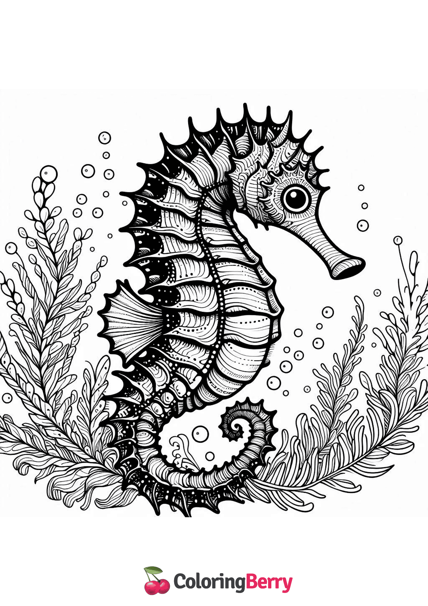 Detailed Seahorse
