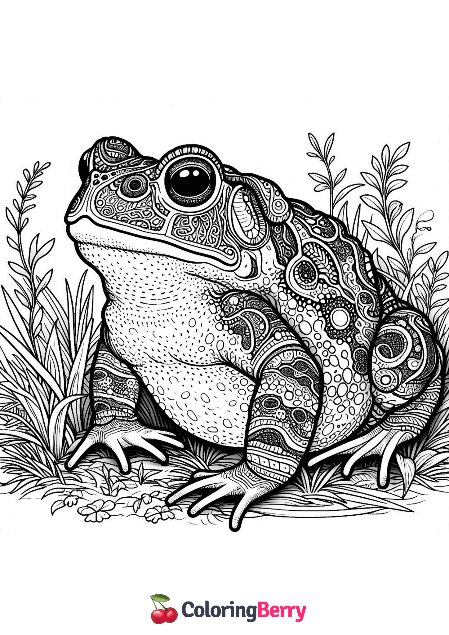 Detailed Toad