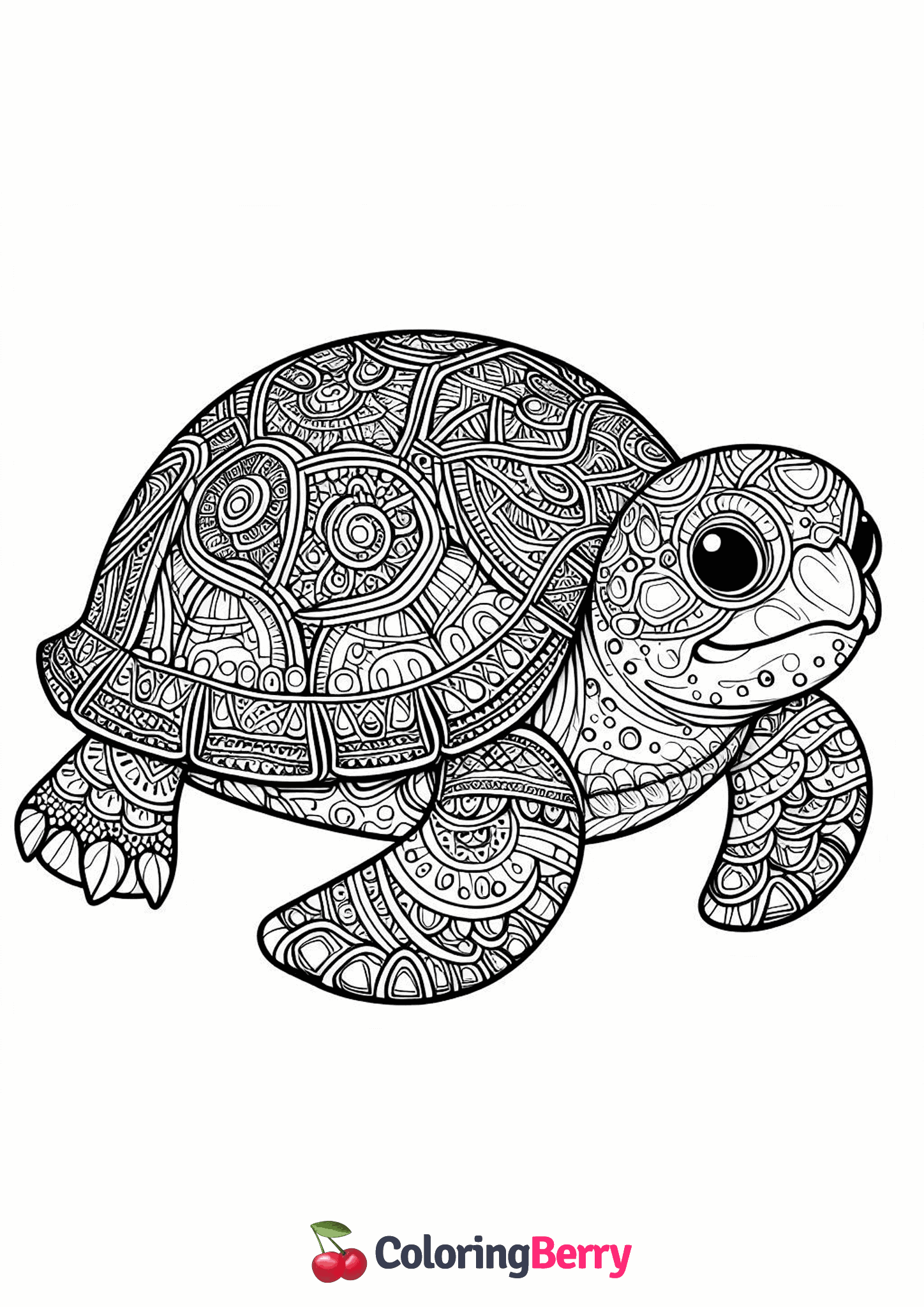 Detailed Turtle