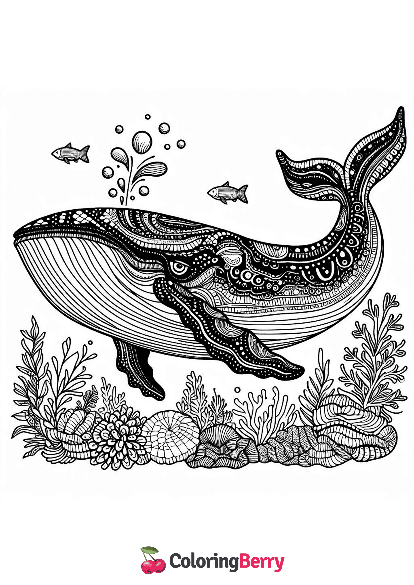 Detailed Whale
