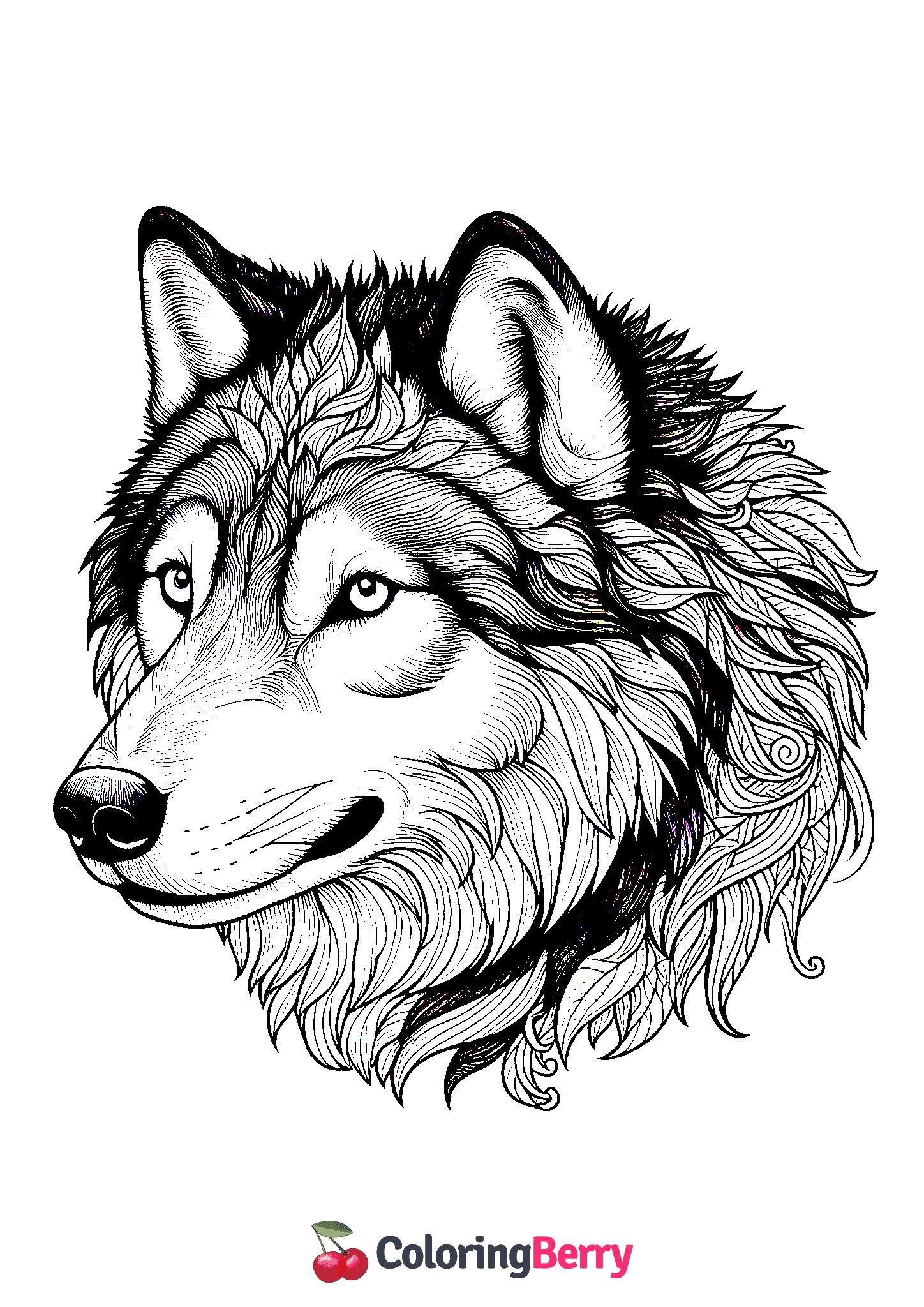 Detailed Wolf