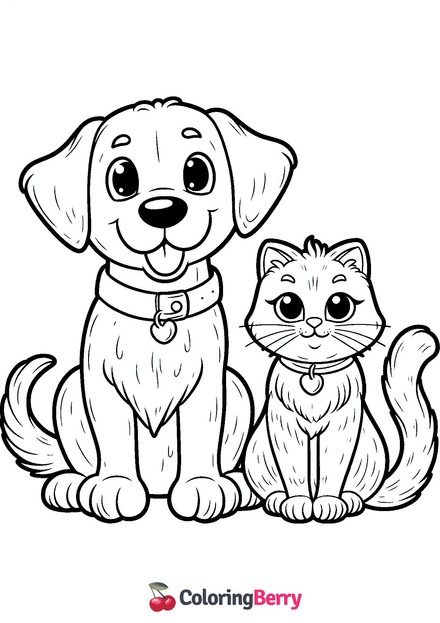 Dog and Cat
