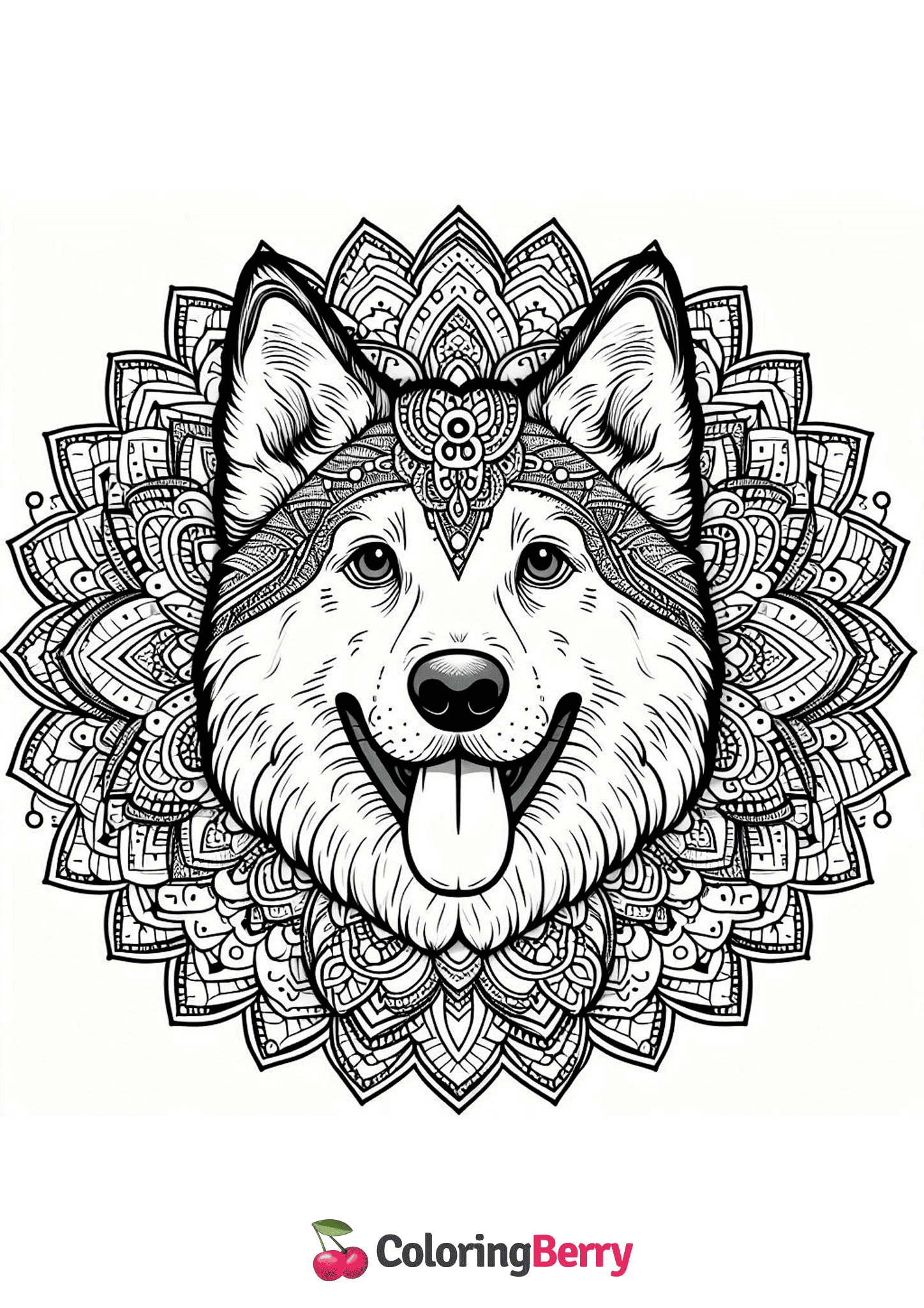 Dog Mandala