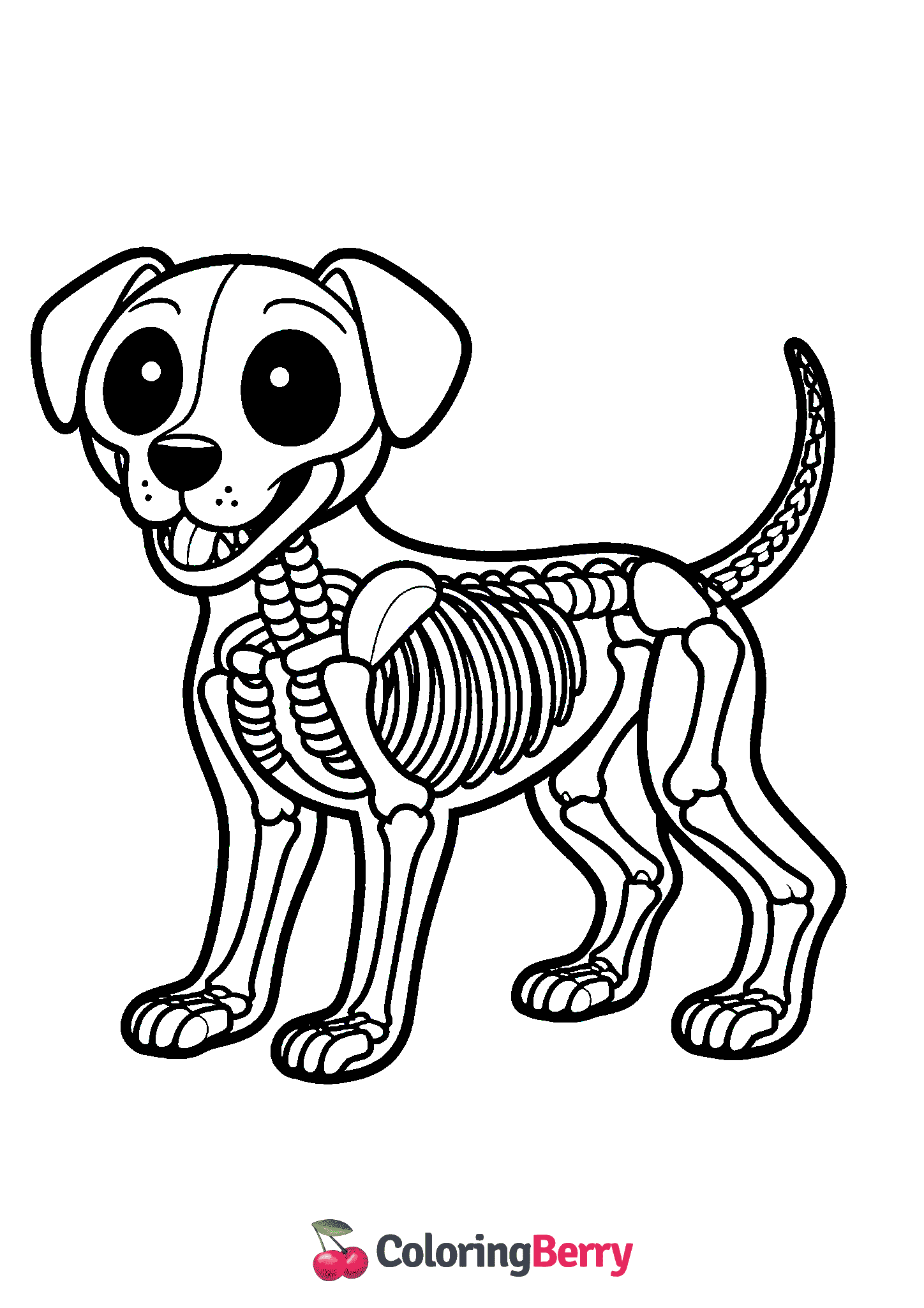 Dog Skeleton