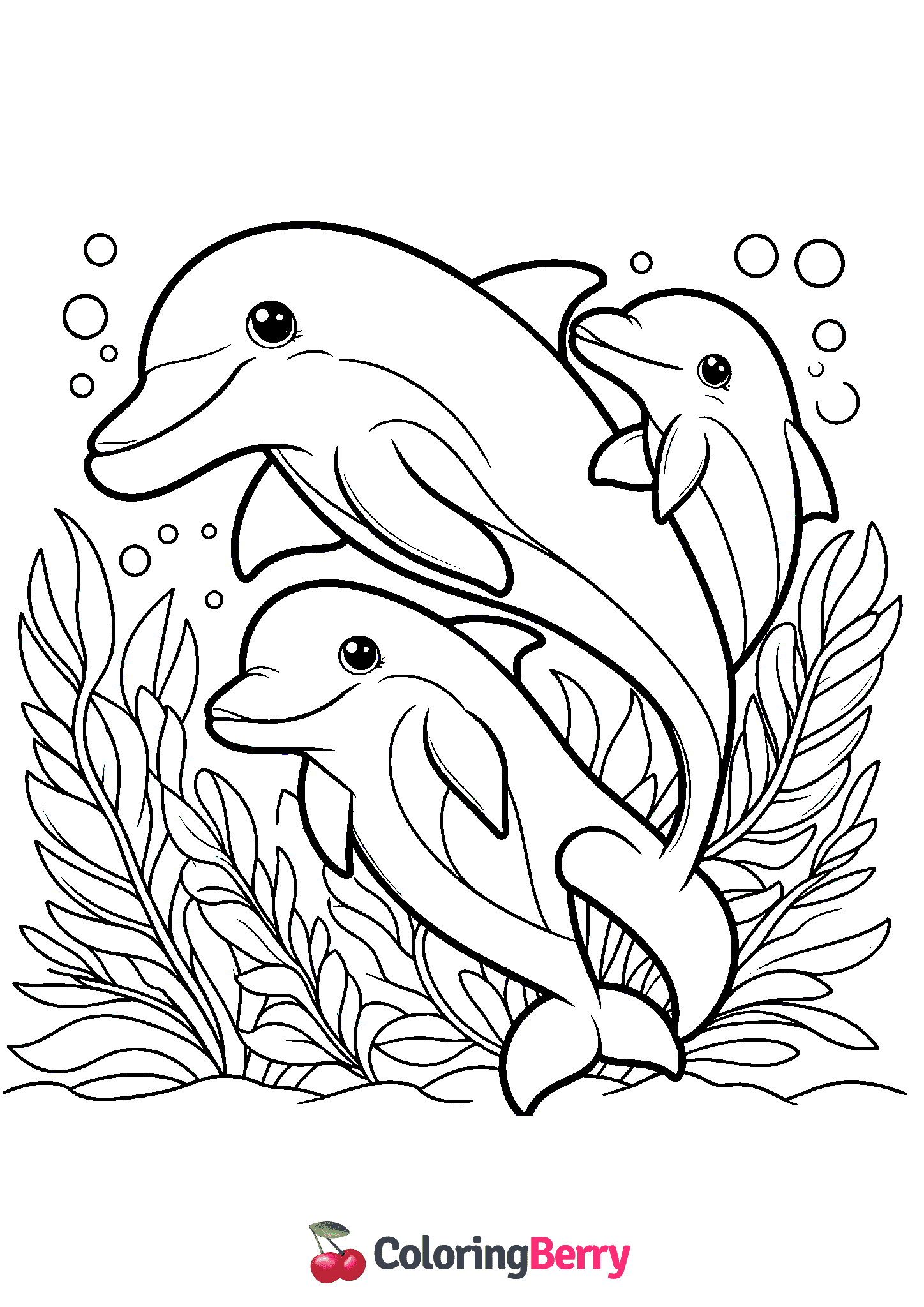 Dolphin Family