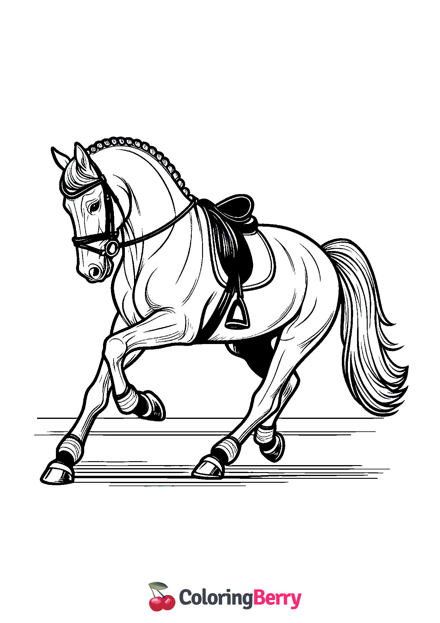 Dressage Horse