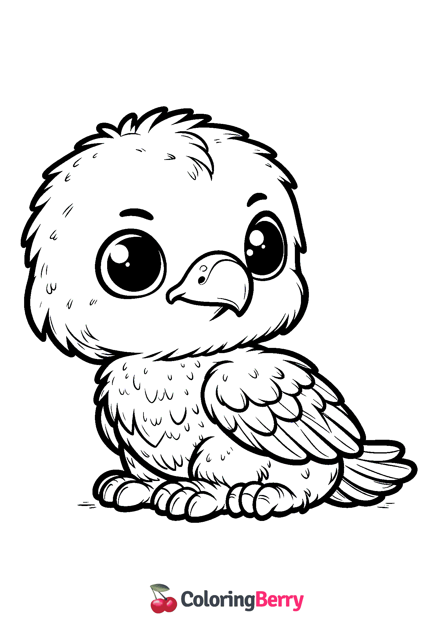 Eagle Cub