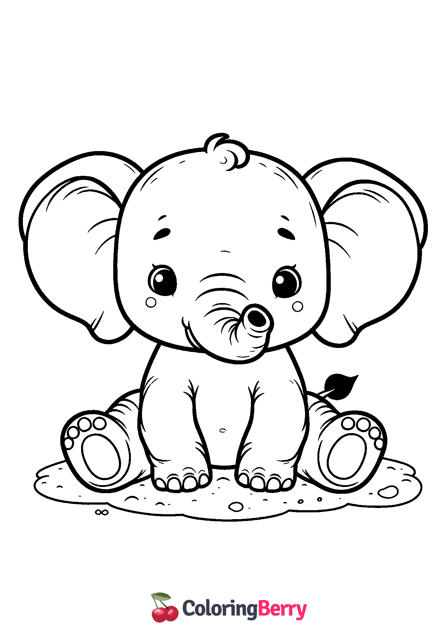 Elephant Cub