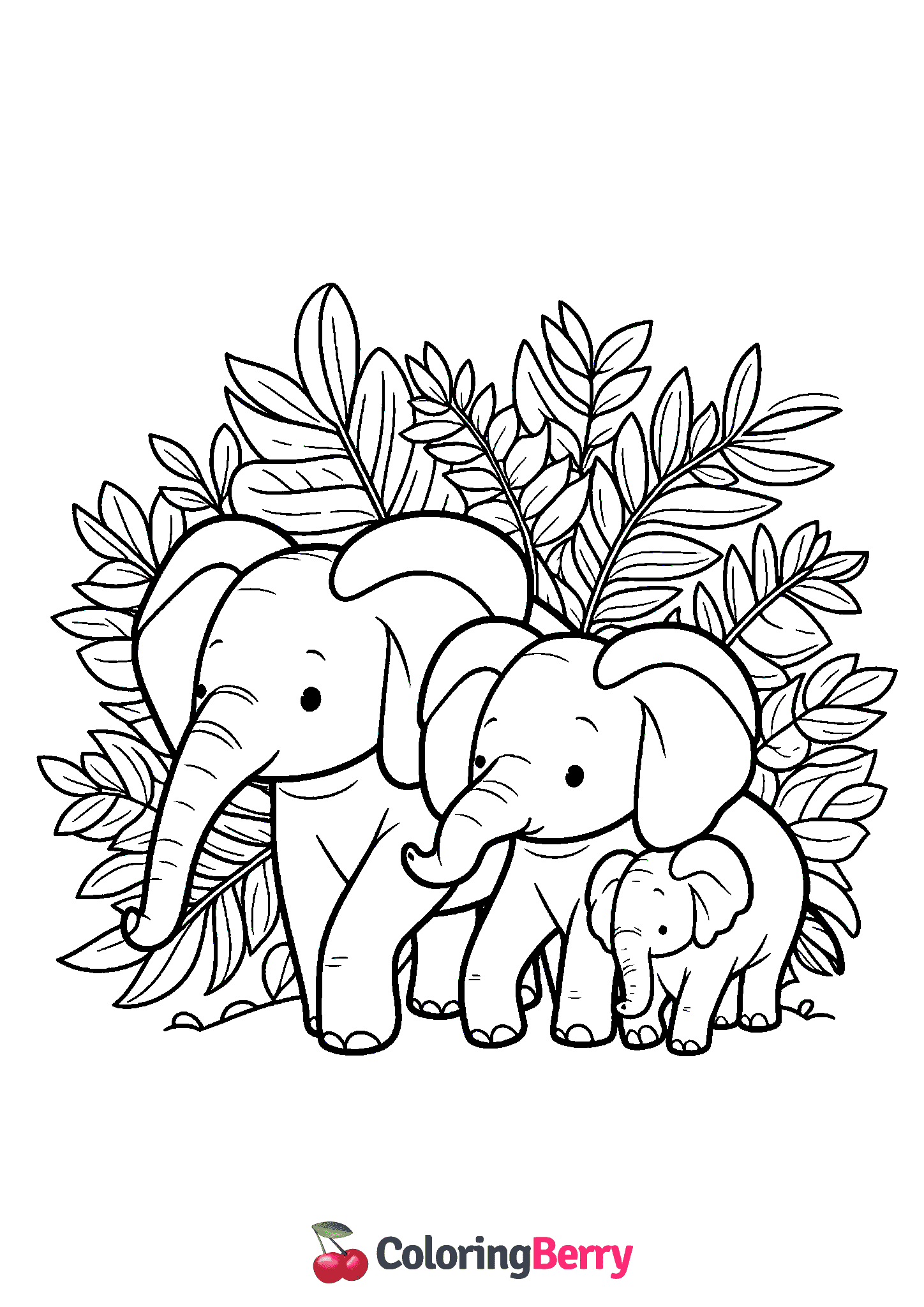 Elephant Family