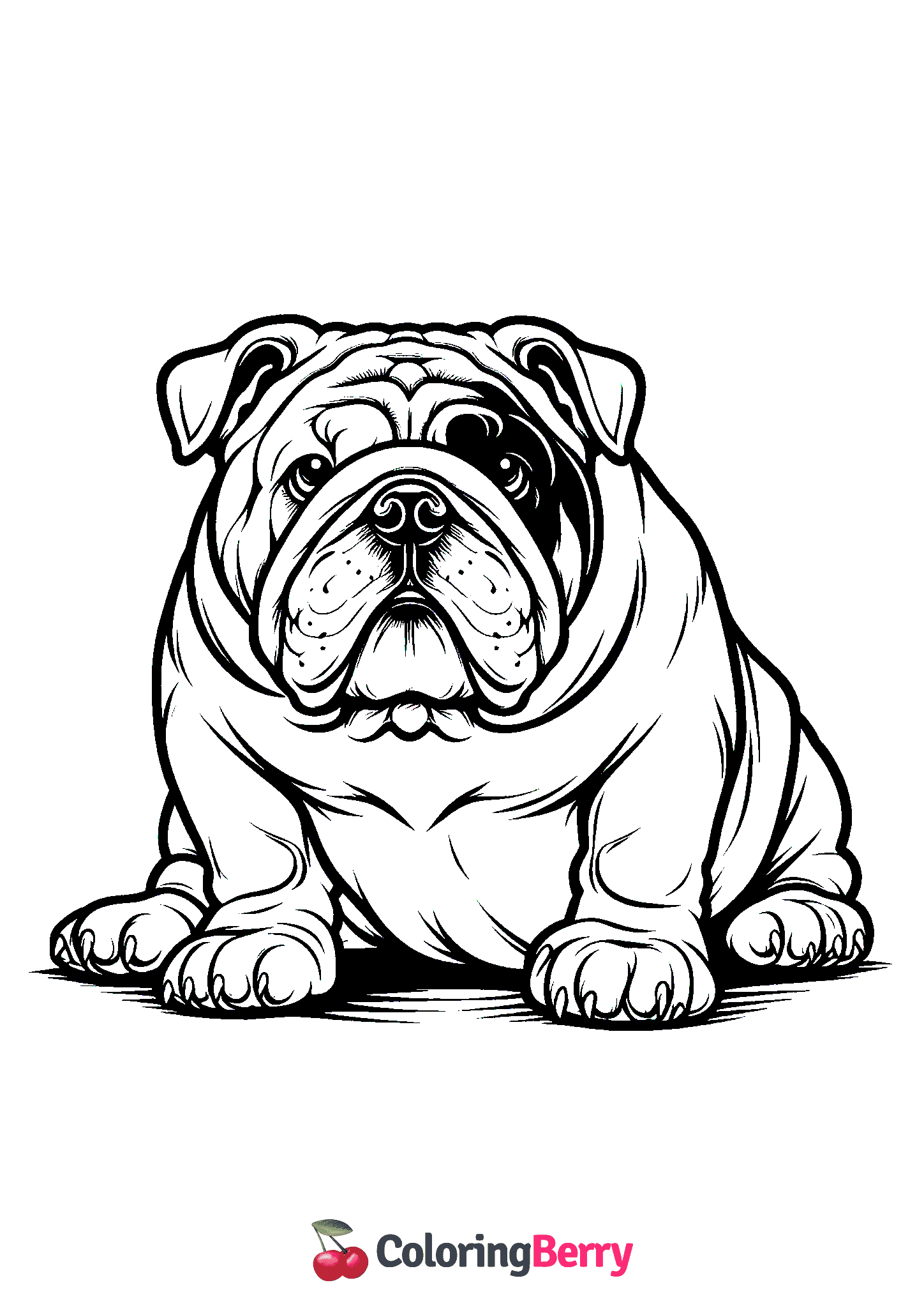 English Bulldog