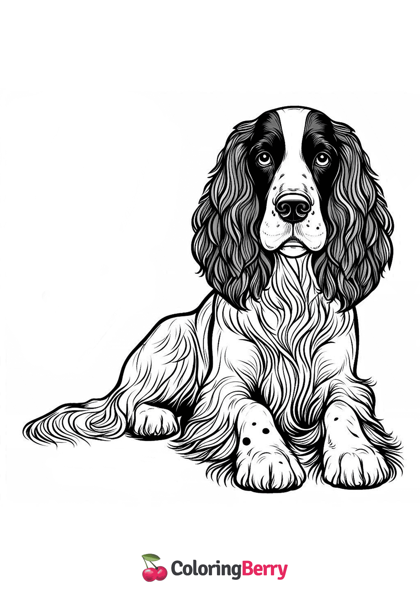 English Springer Spaniel