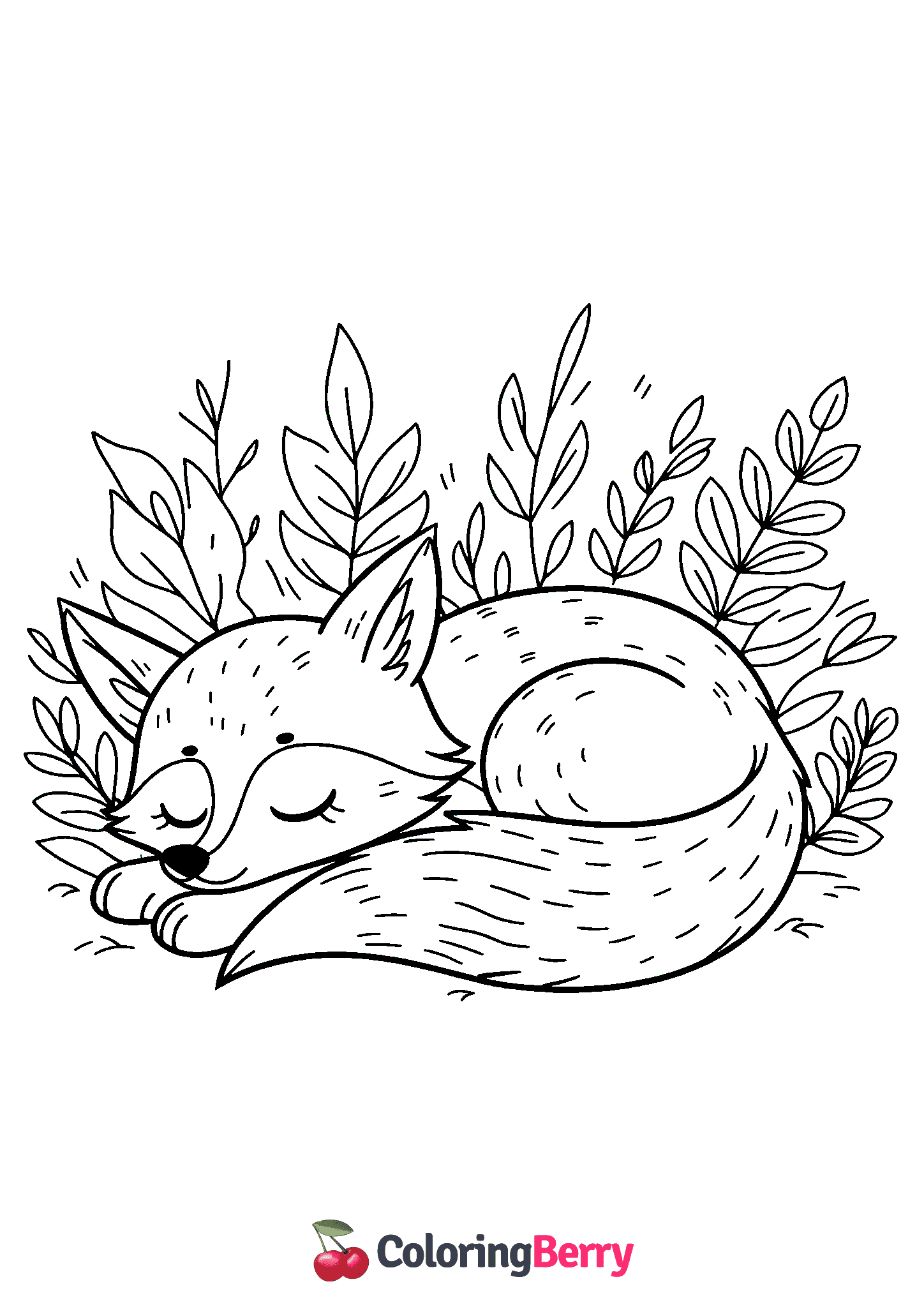 Fox Sleeping