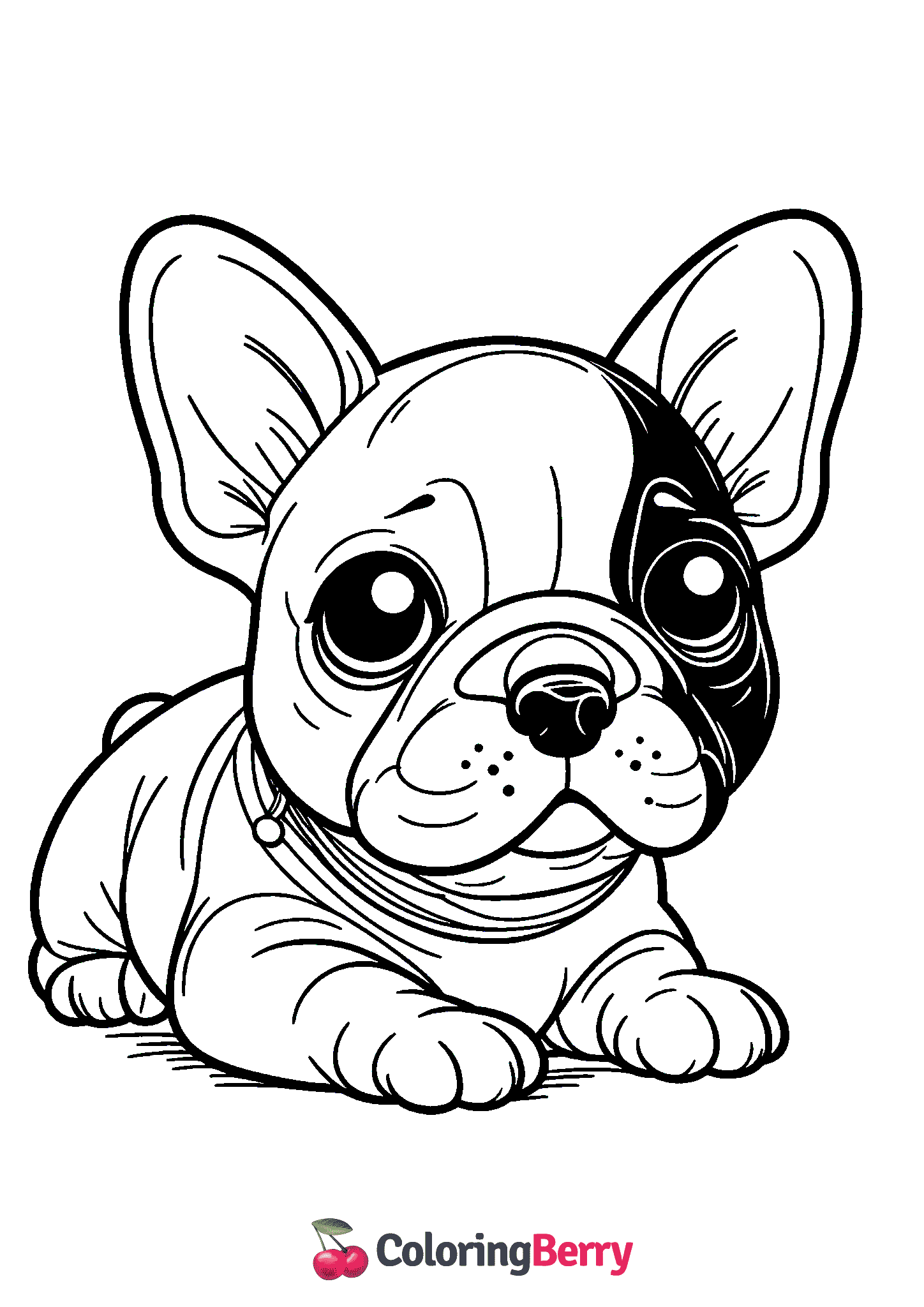 French Bulldog