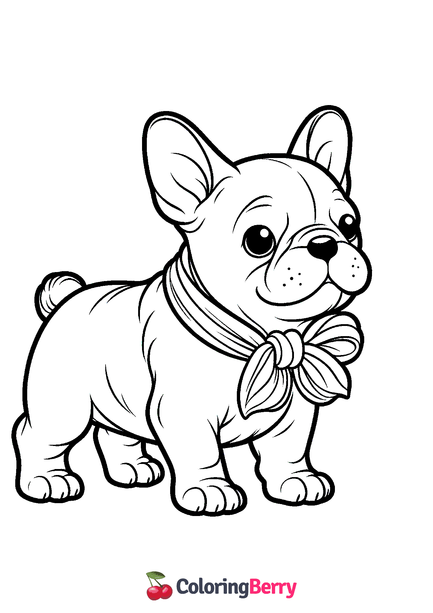 Frenchie Dog