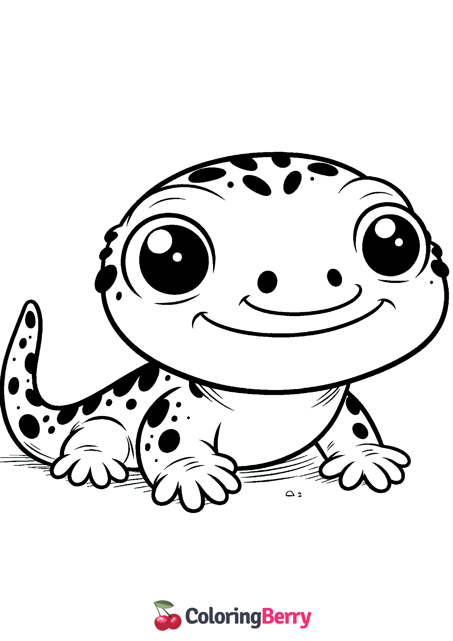 Funny Salamander