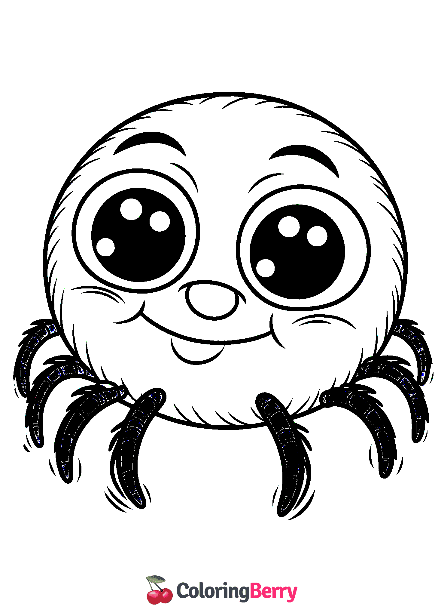 Funny Spider