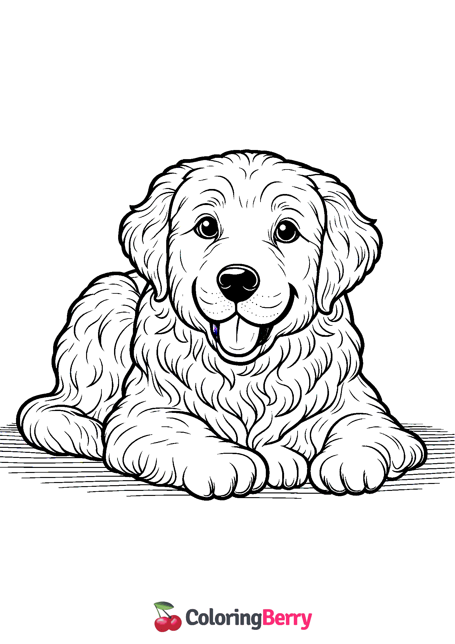 Golden Retriever Dog