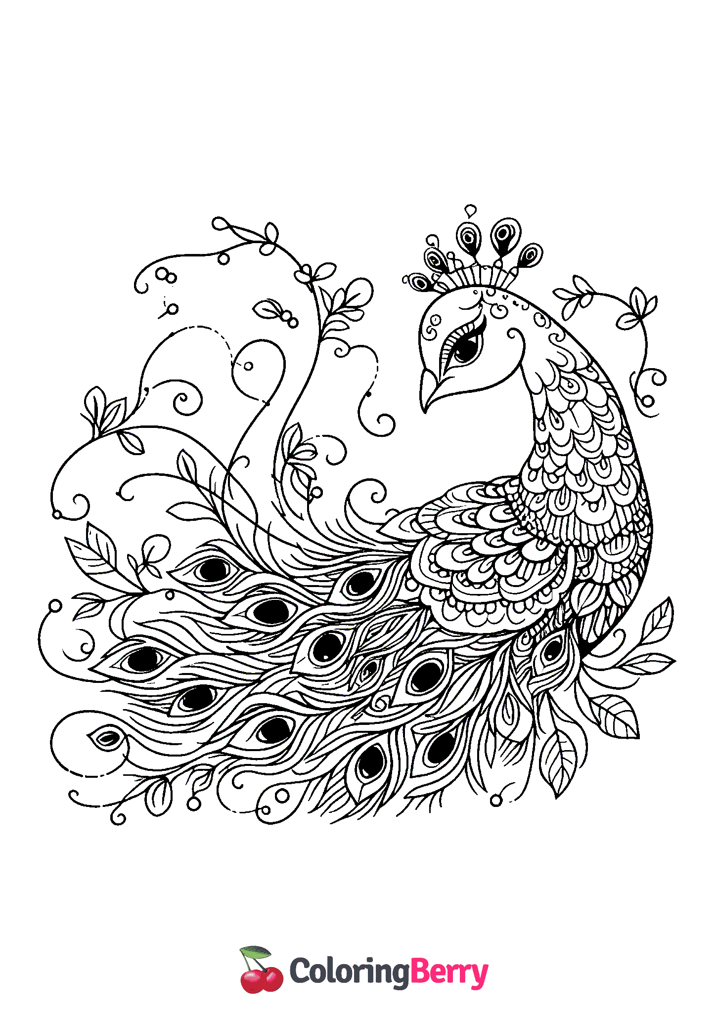 Graceful Peacock
