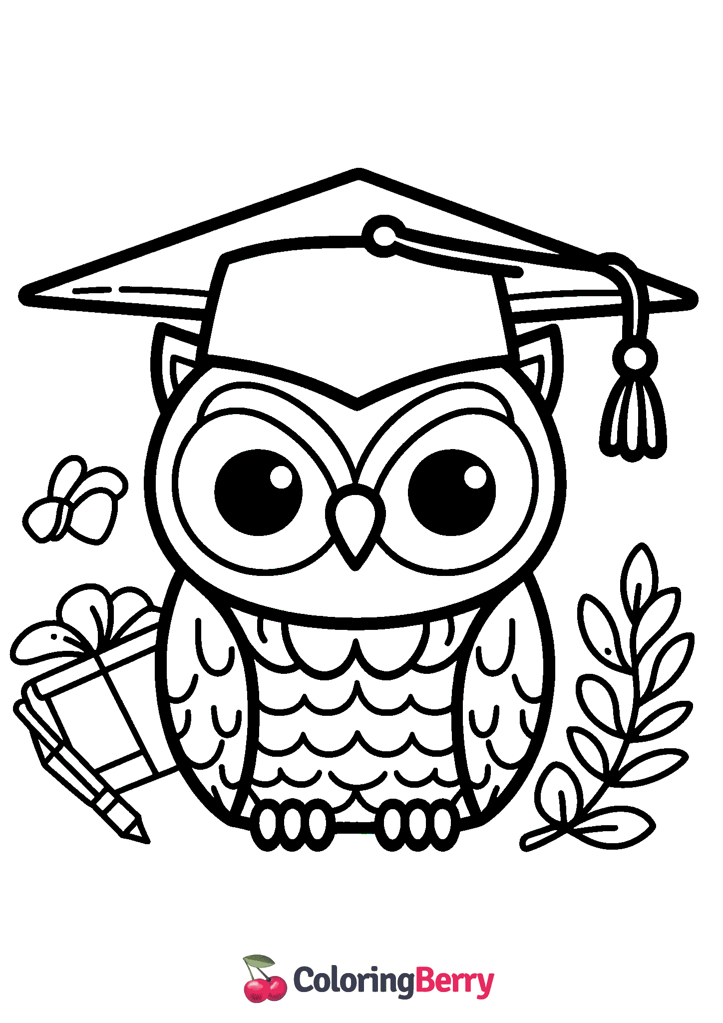 Graduation Owl