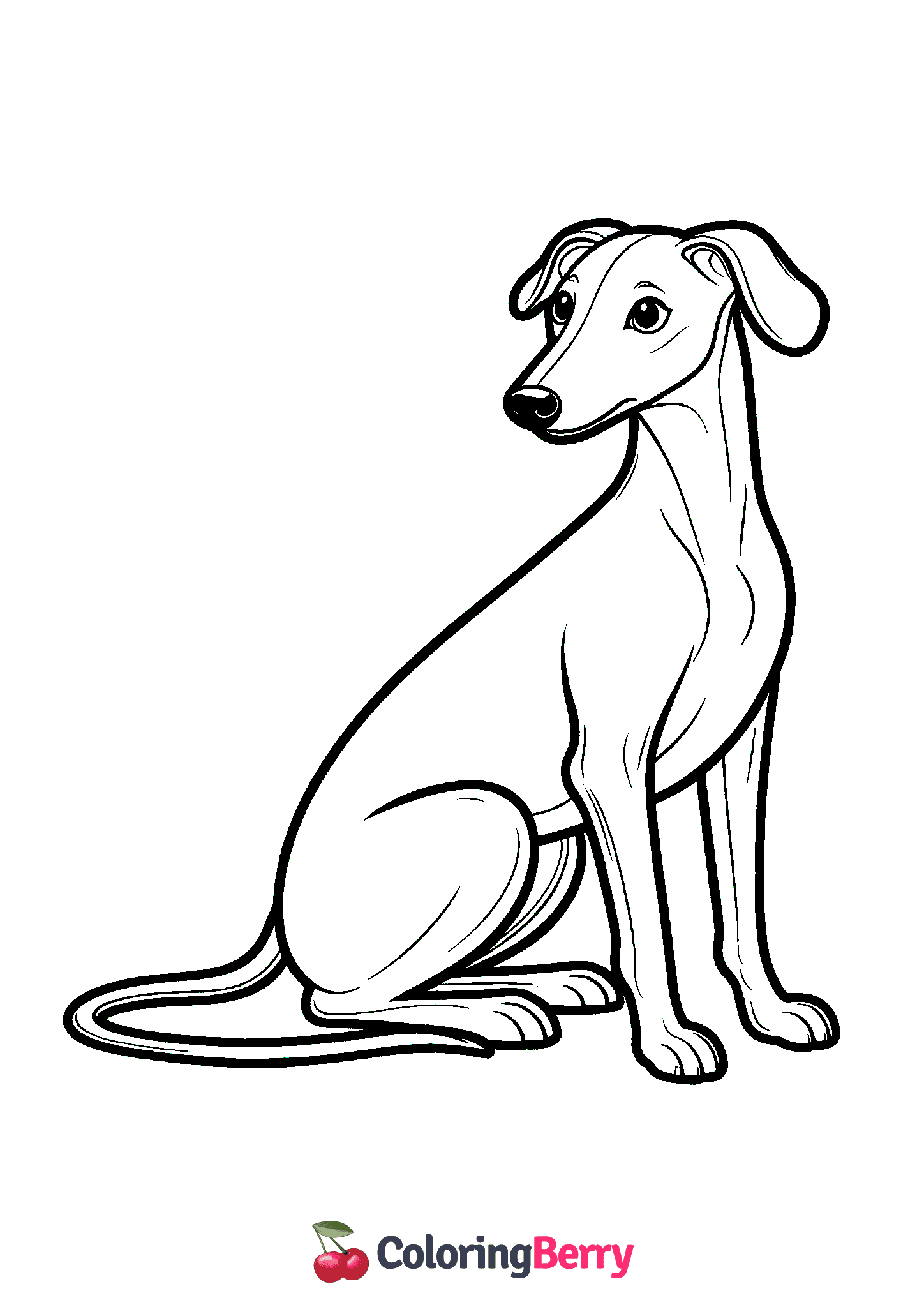 Greyhound Dog