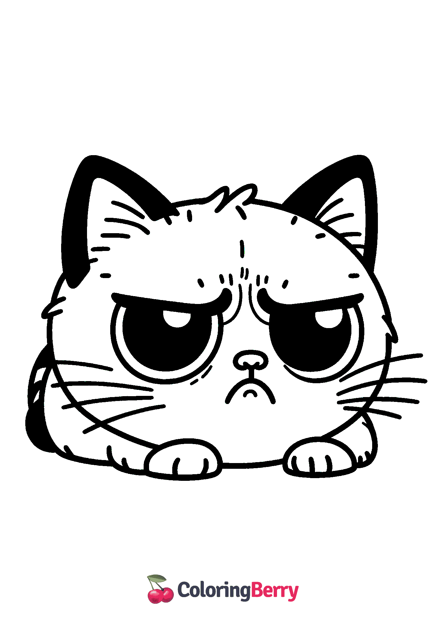 Grumpy Cat