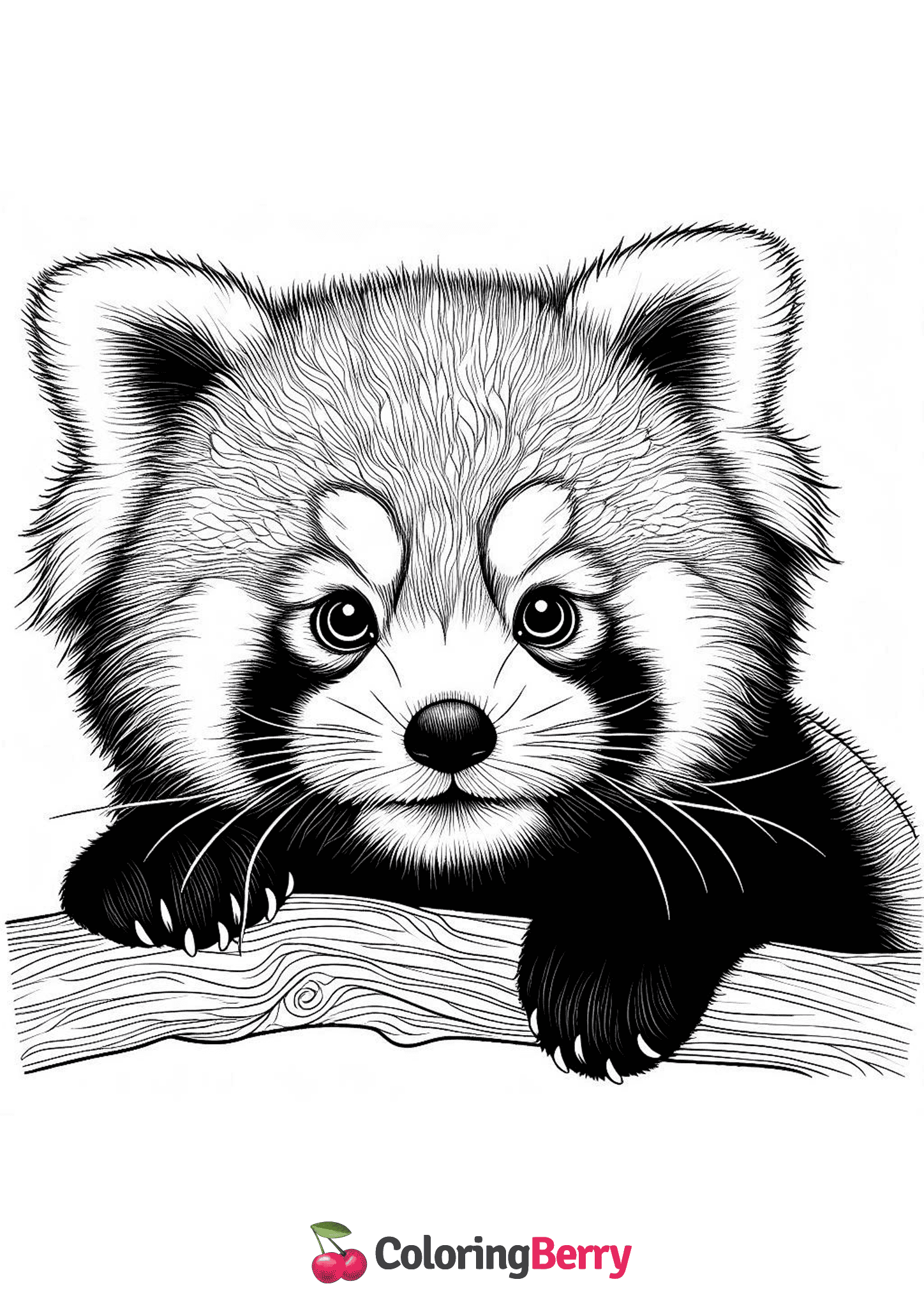 Hard Red Panda