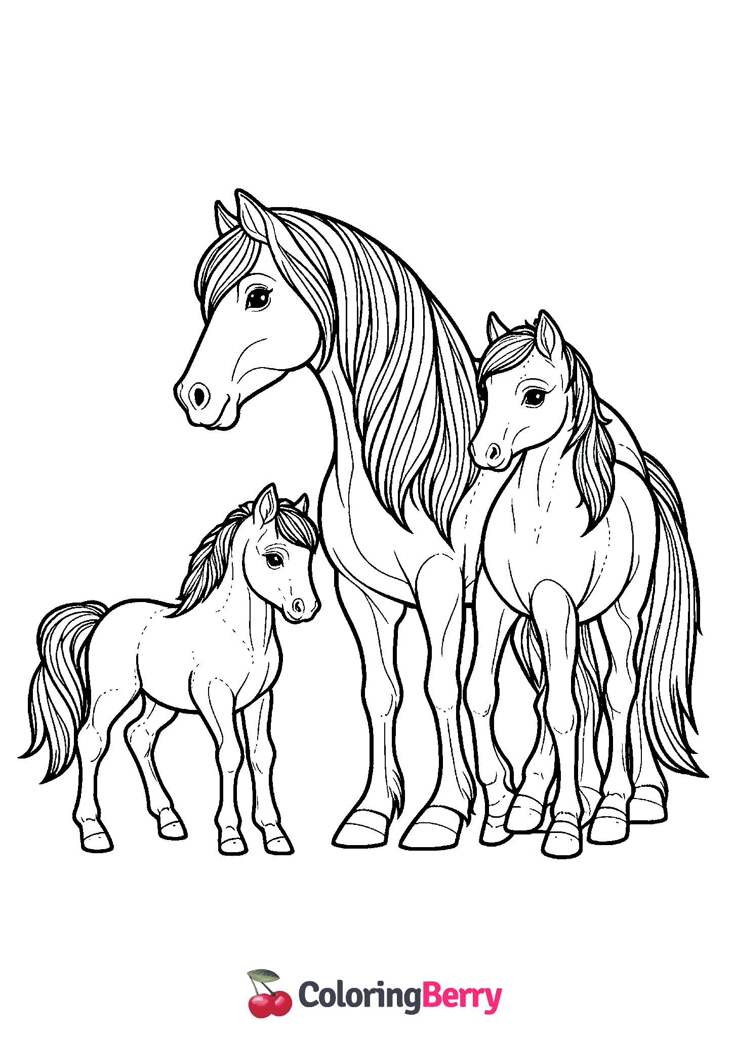 Horse Family