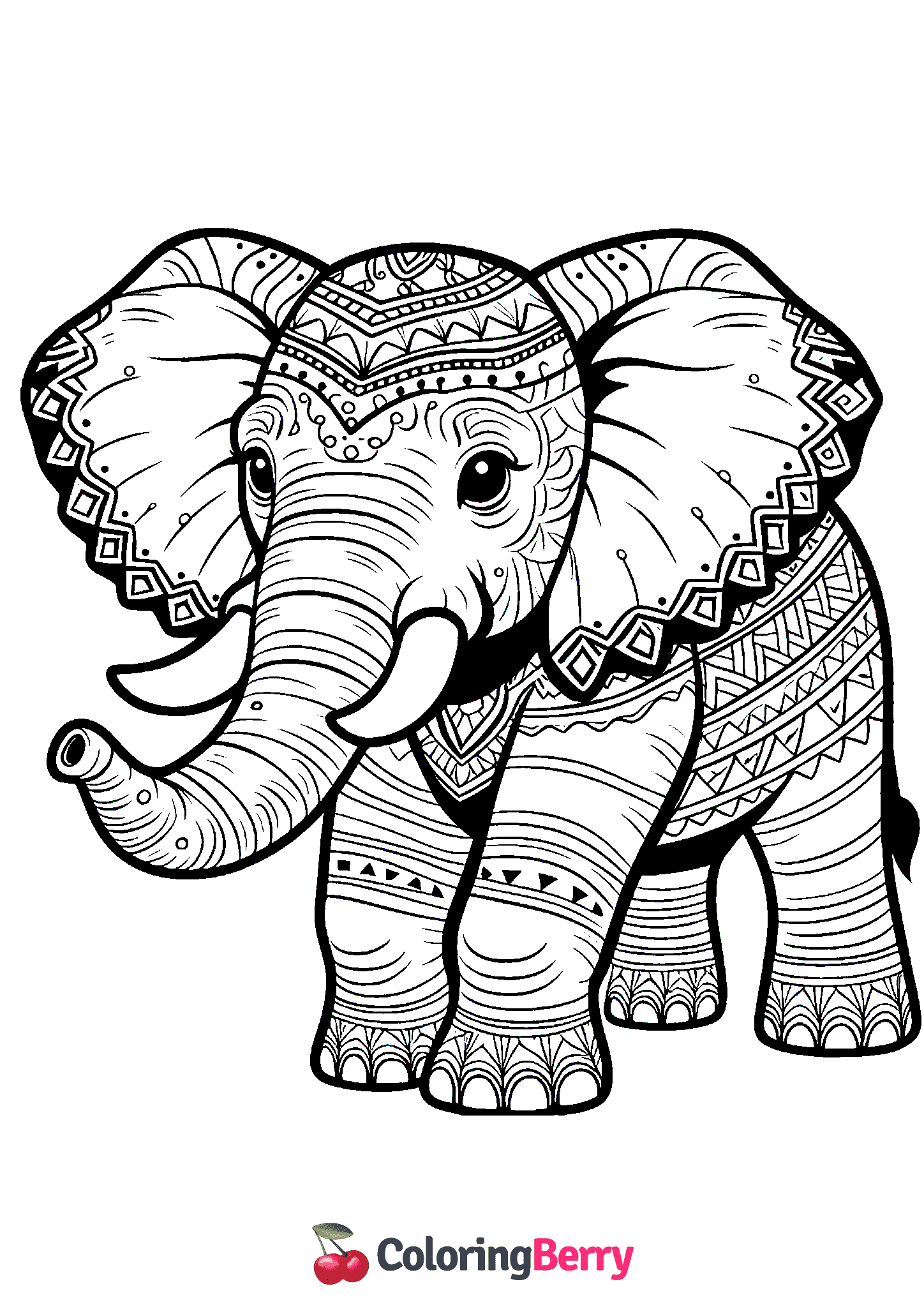 Indian Elephant