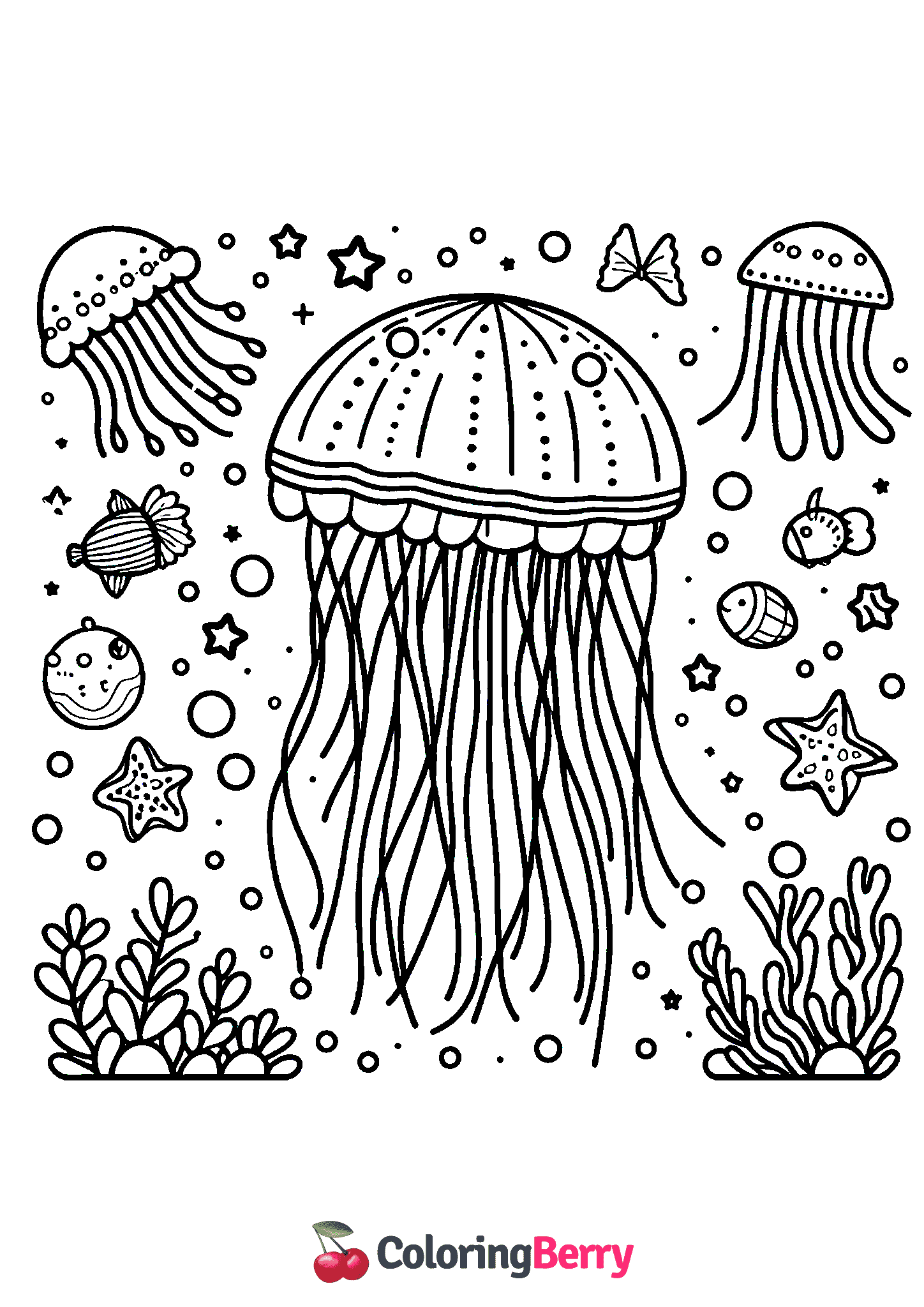 Jellyfish