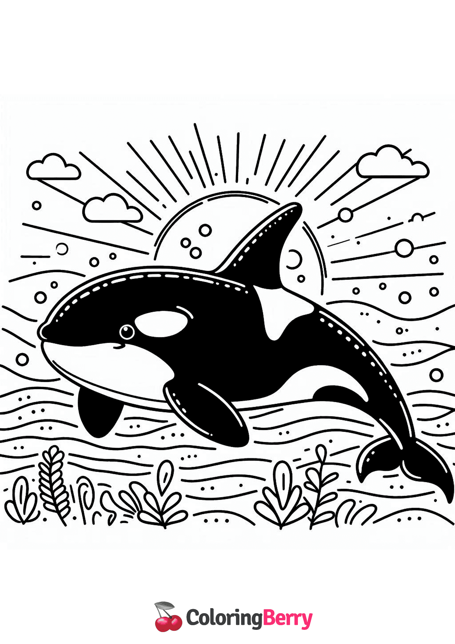 Killer Whale