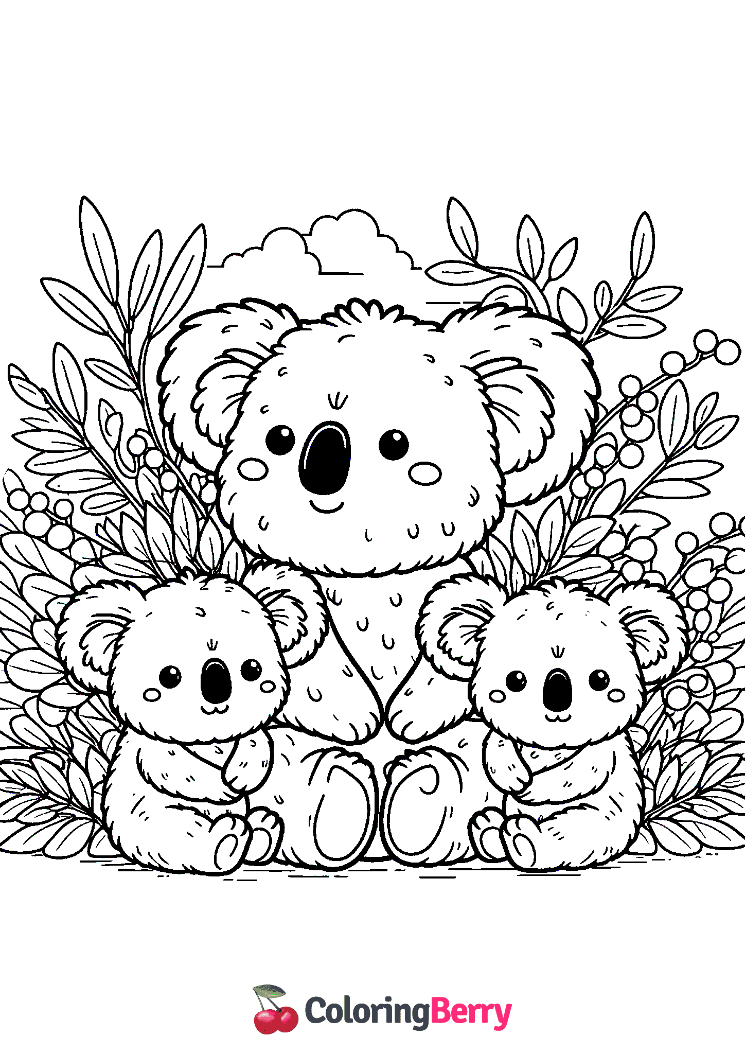 Koala Bears