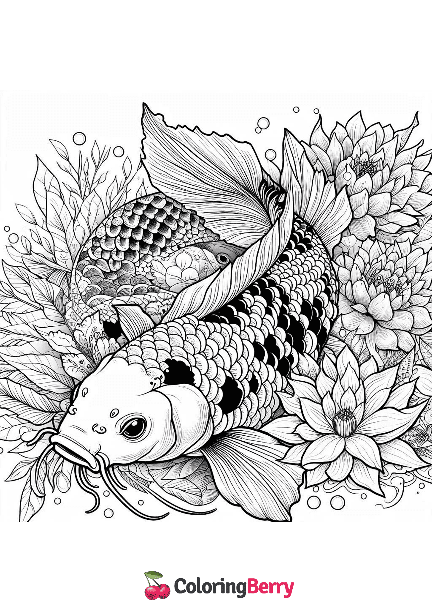 Koi Carp