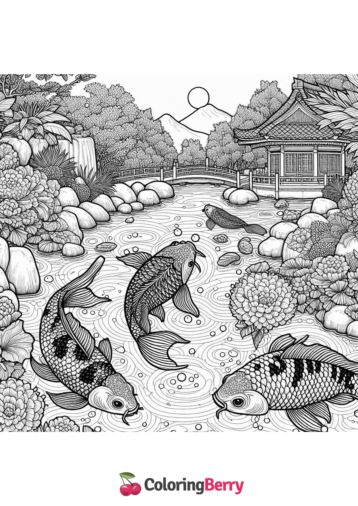Koi Pond