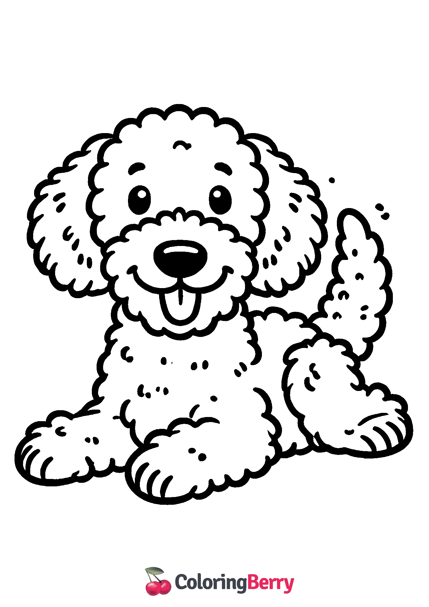 Labradoodle