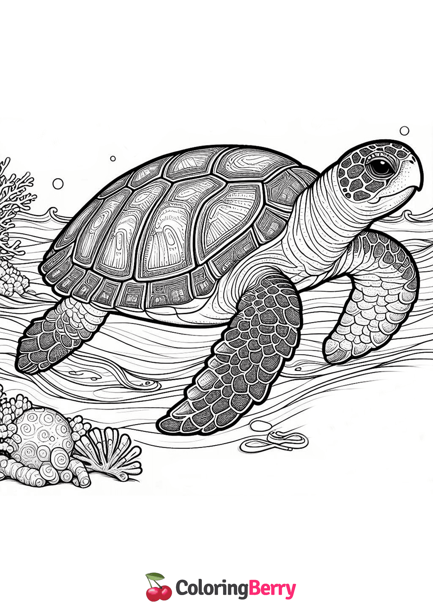 Loggerhead Turtle