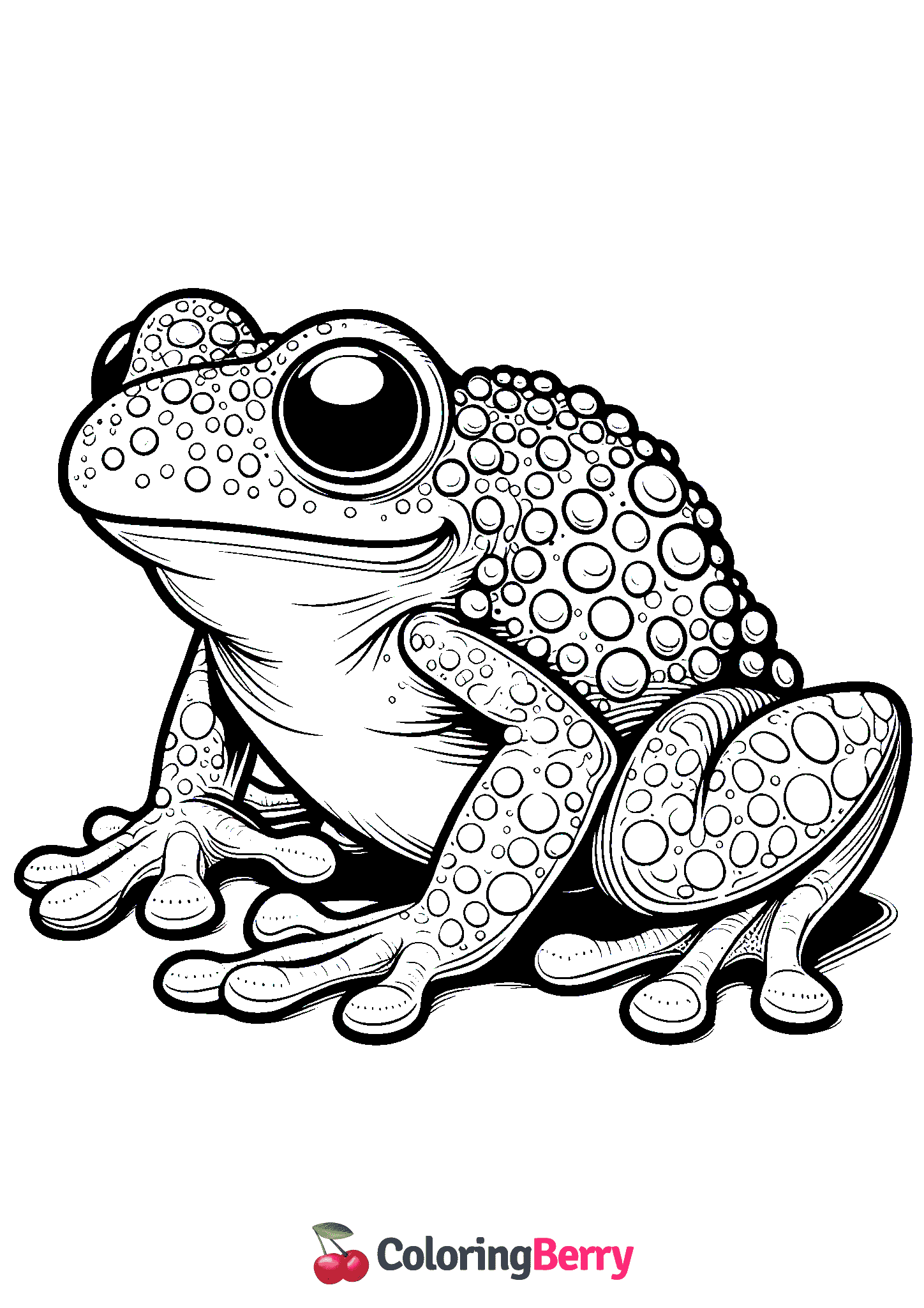 Madagascar Tomato Frog